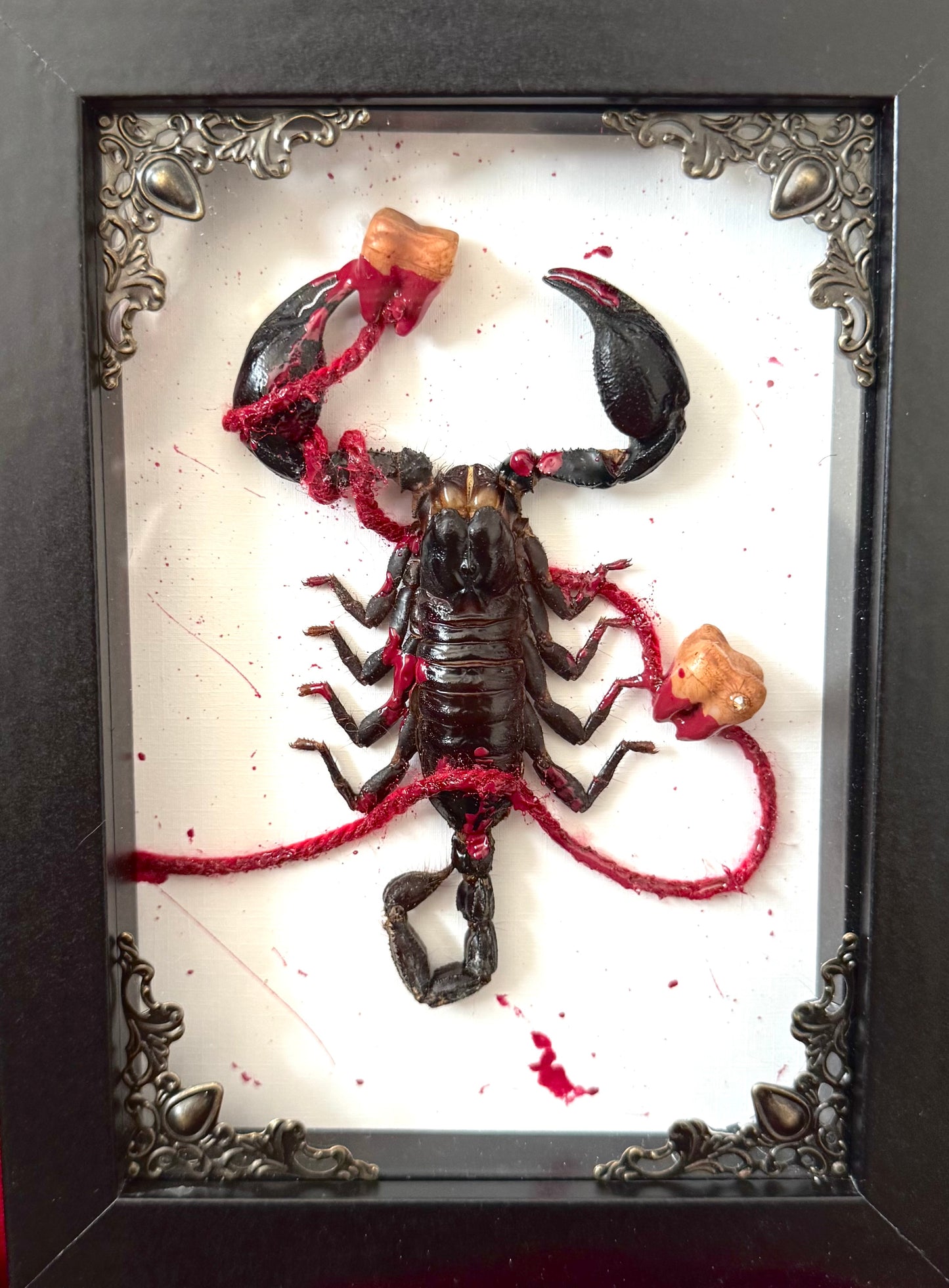 Rotten Teeth Scorpion