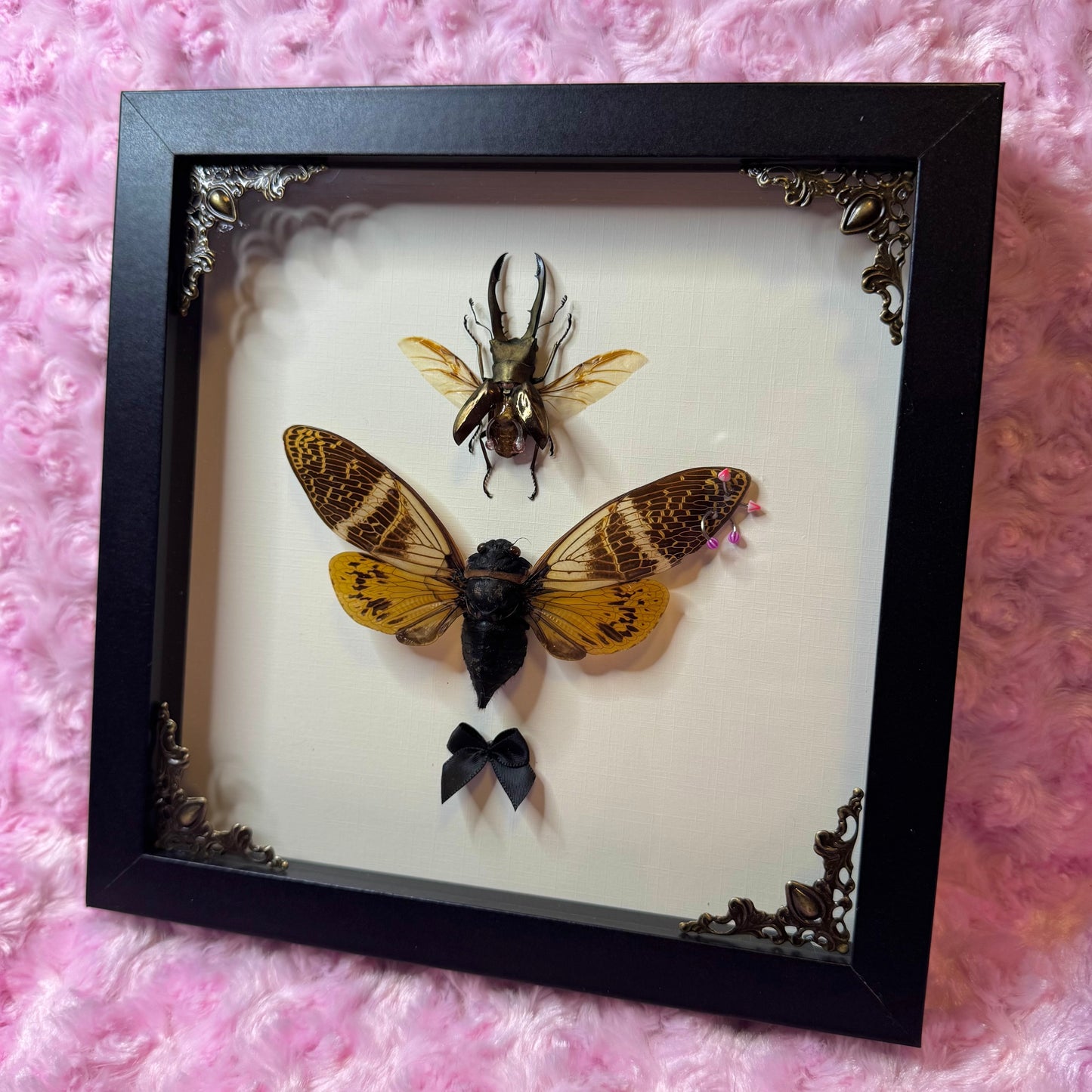 Beetle & Cicada Pierced Duo