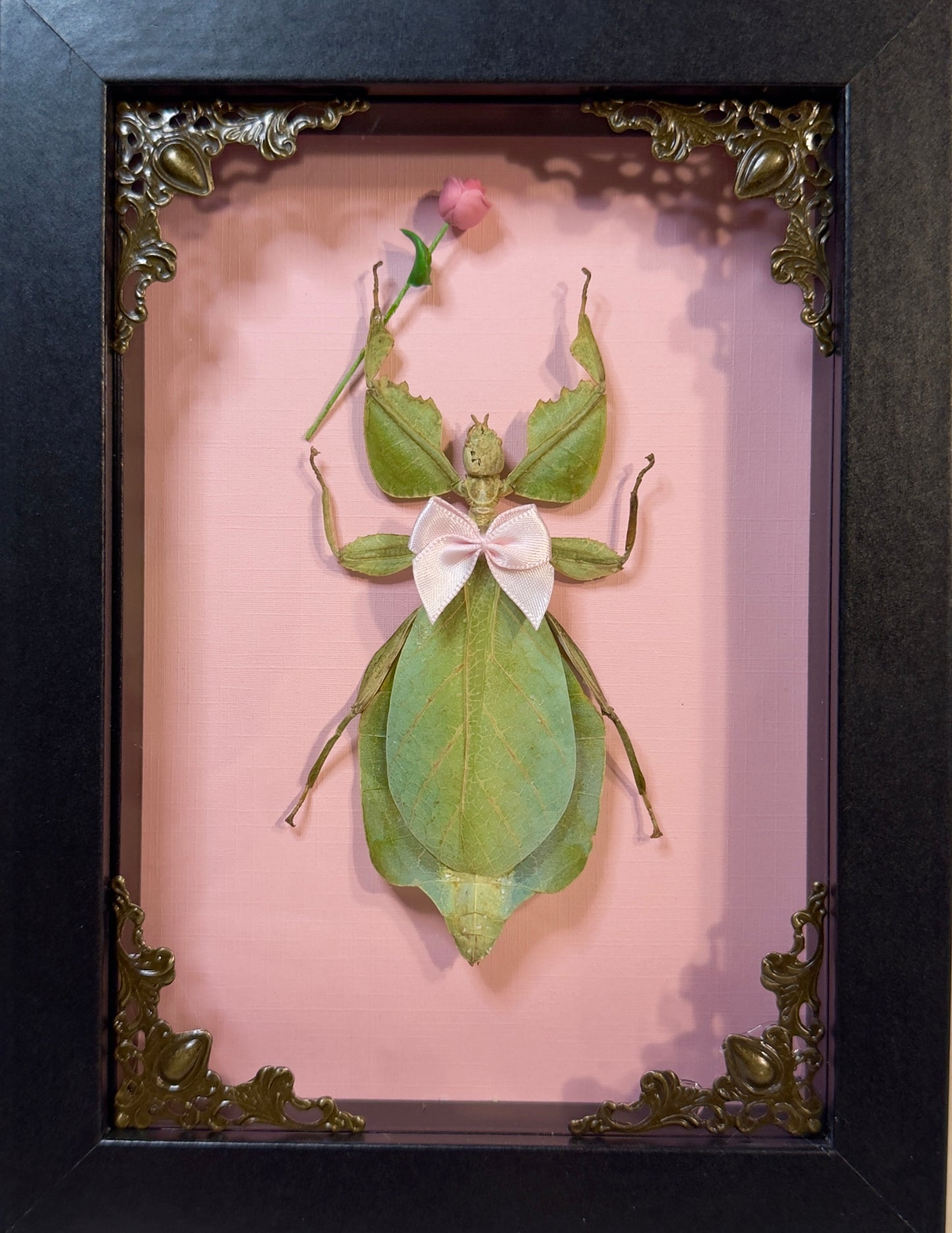 Green Leaf Insect Keychain