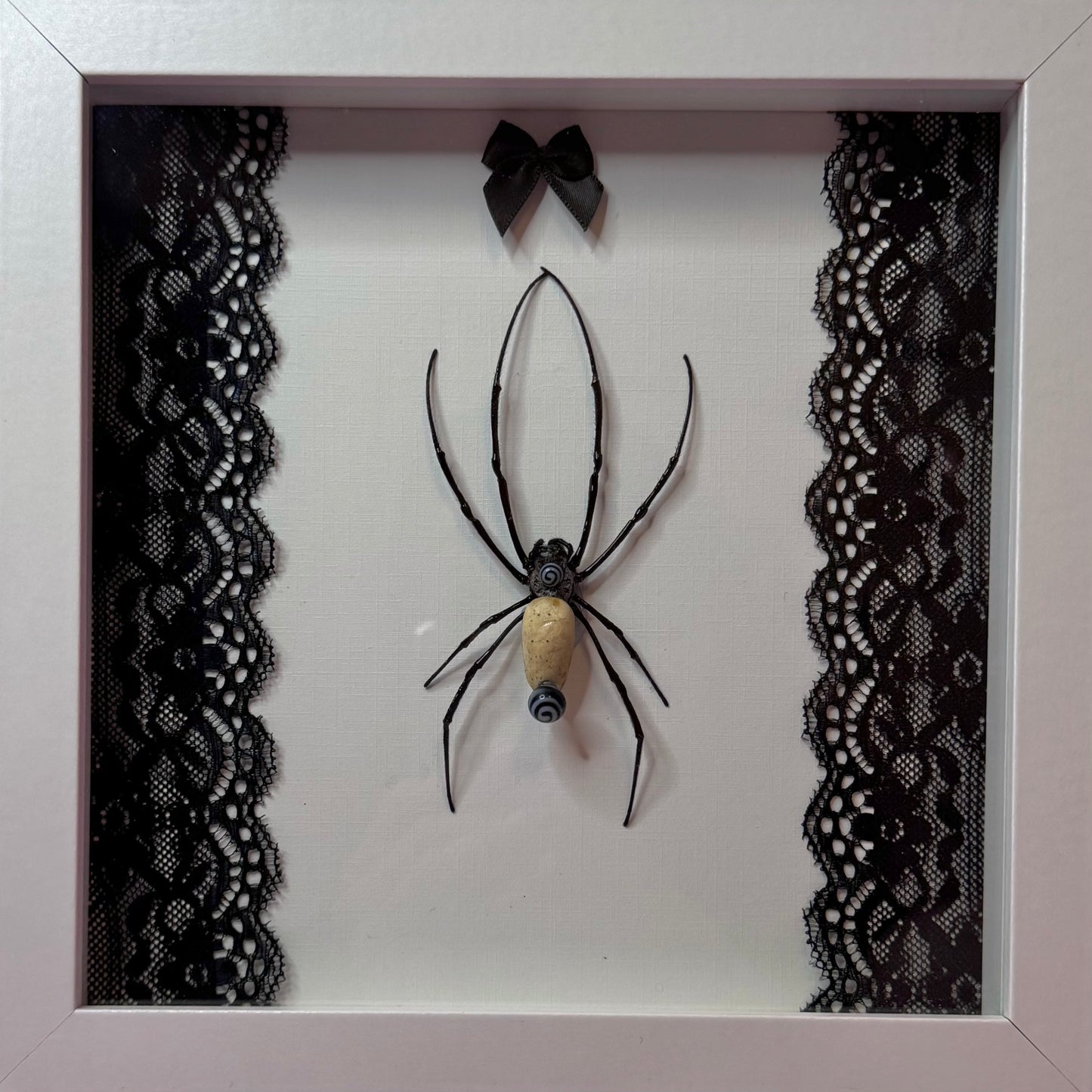 Pierced Orb Weaver Black & White
