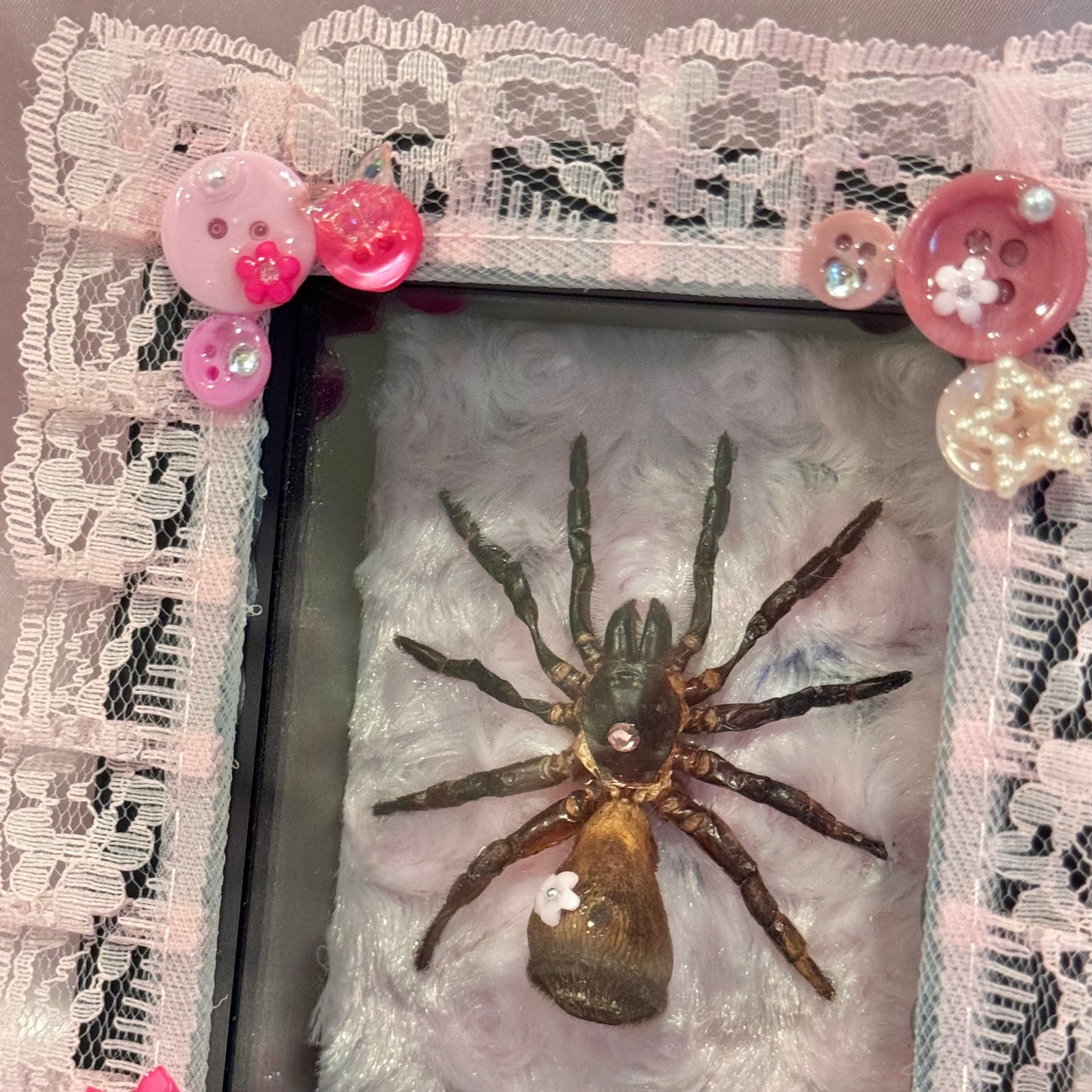 Trapdoor Spider - Pink on Pink on Pink