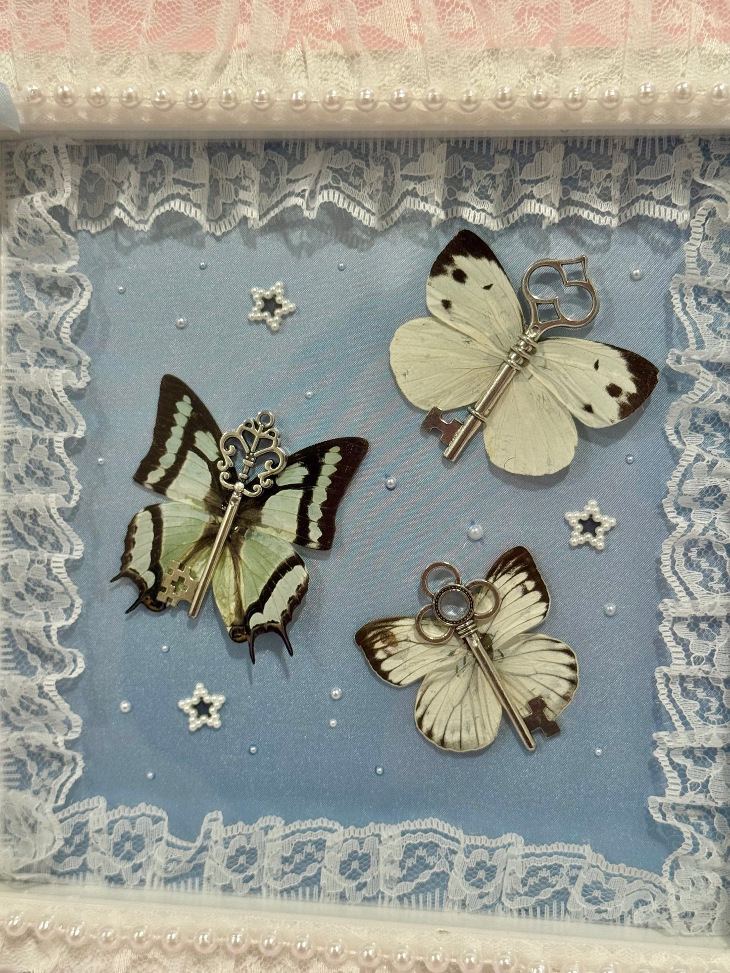 Key Butterflies On Blue