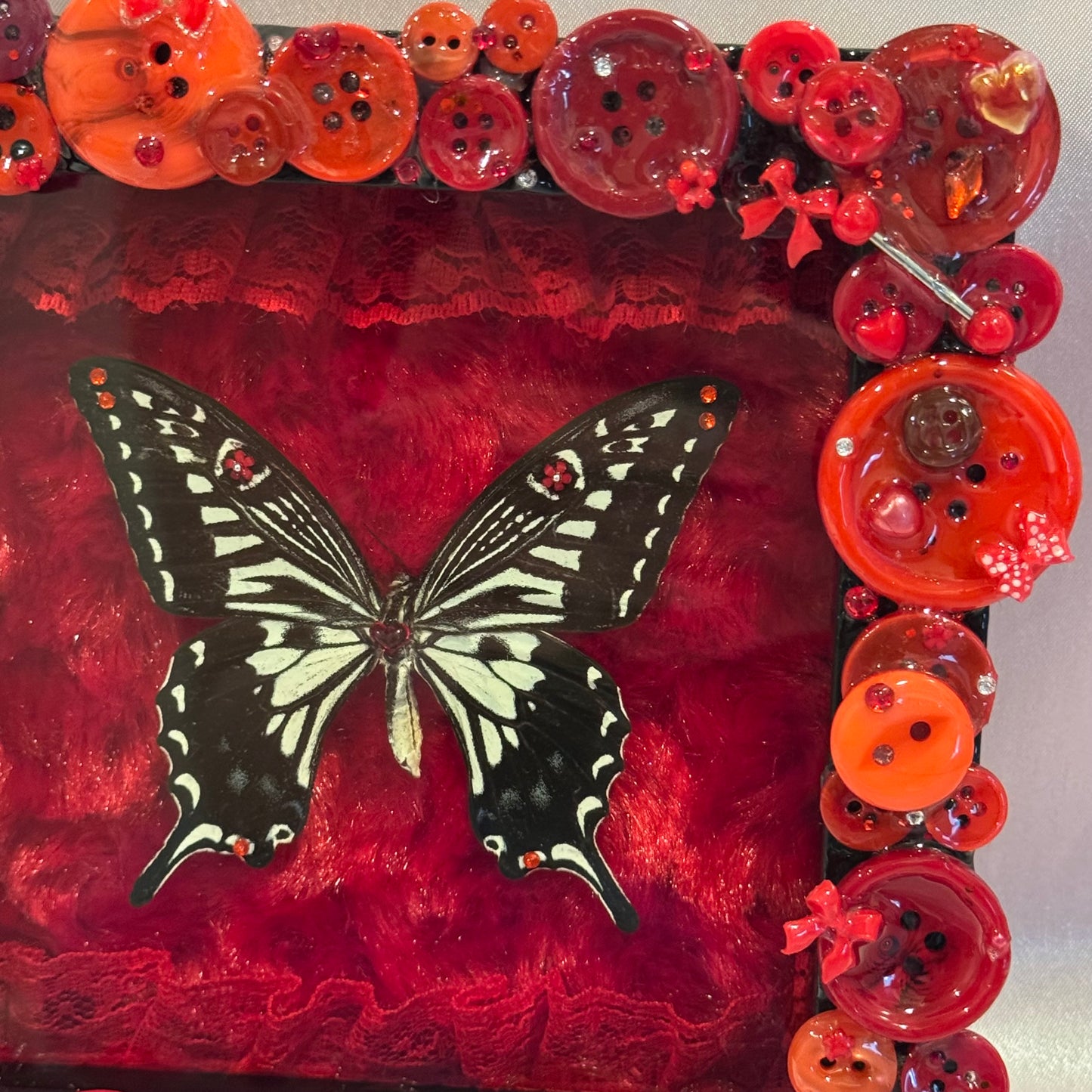 Asian Swallowtail Button Baby