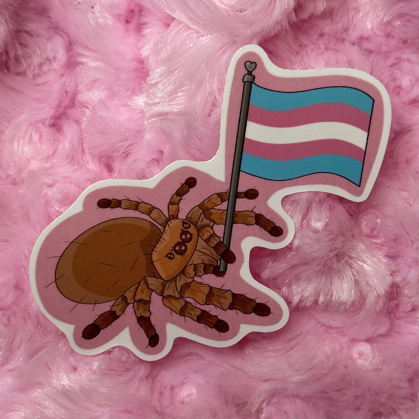 Trans Joy Jumping Spider Sticker