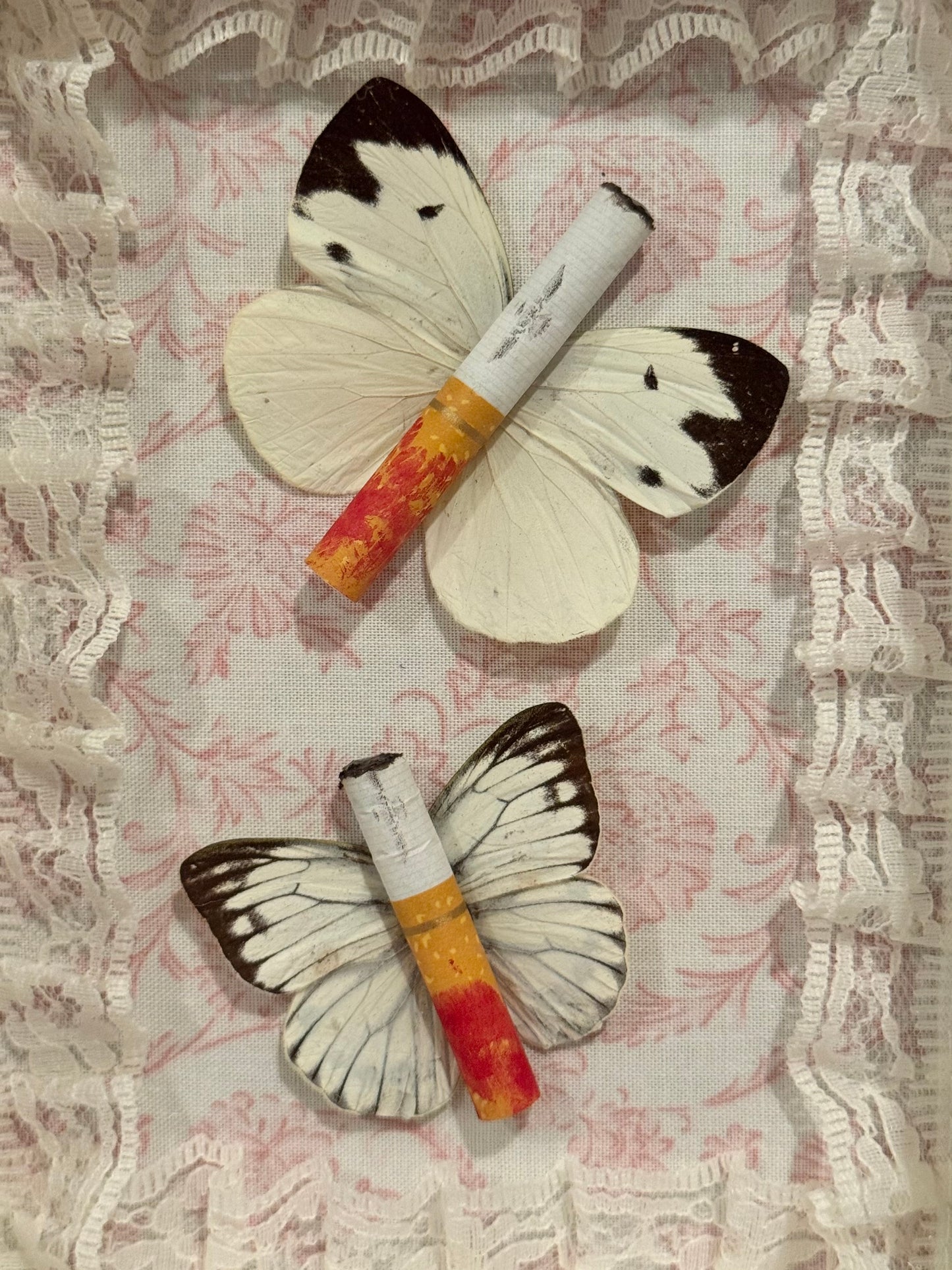 Lipstick Ciggie Butterflies - White & Pink