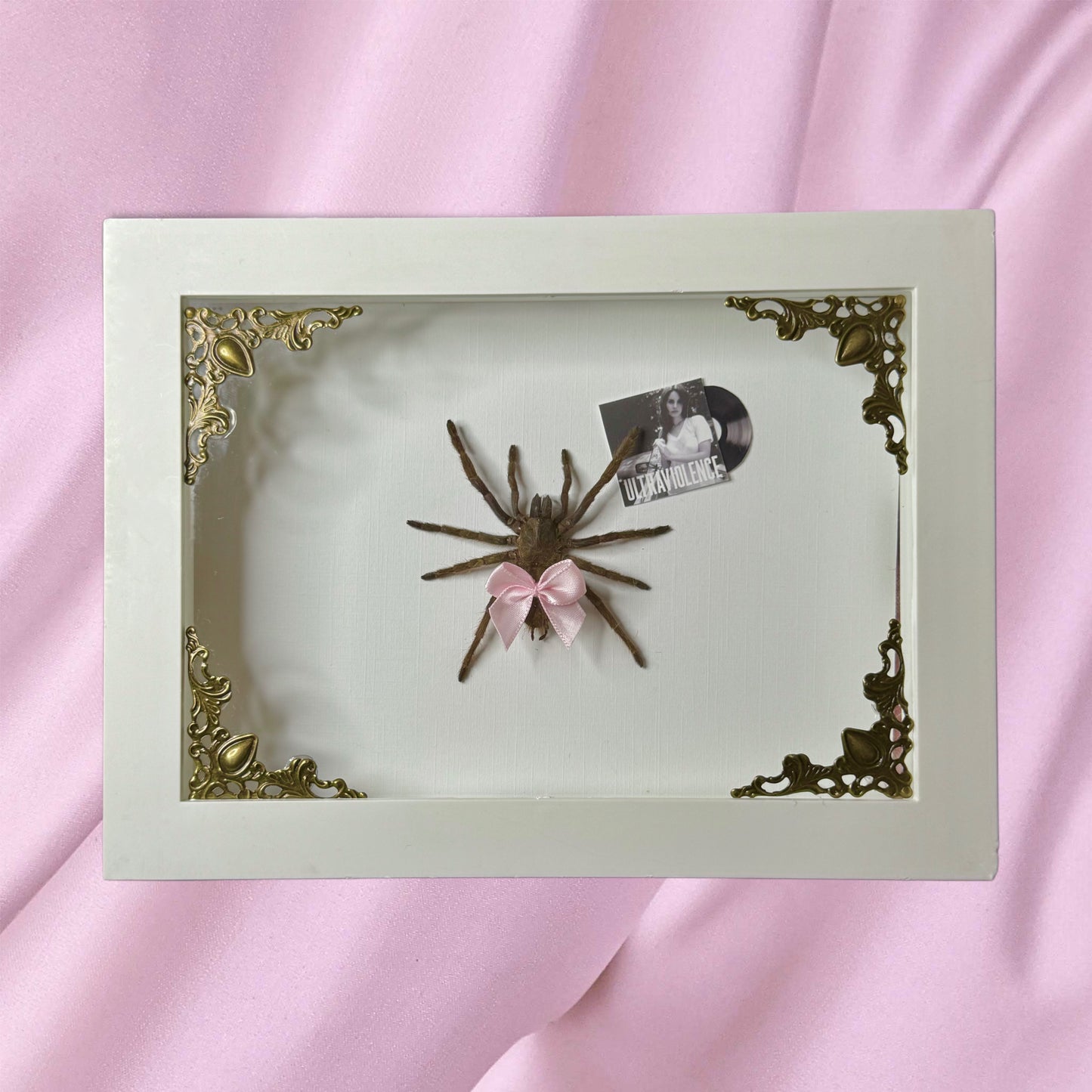 CUSTOMIZABLE Tarantula With Your Fav Album π