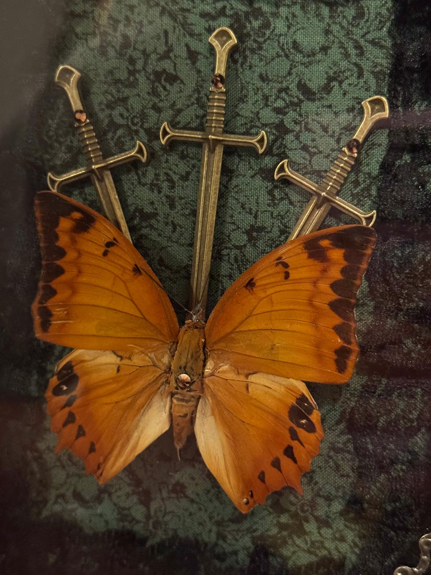 Three Of Swords - Cruiser Butterfly