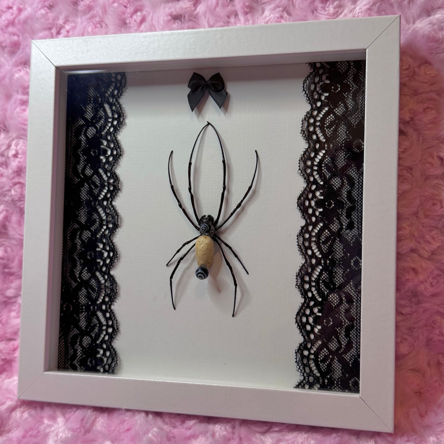 Pierced Orb Weaver Black & White