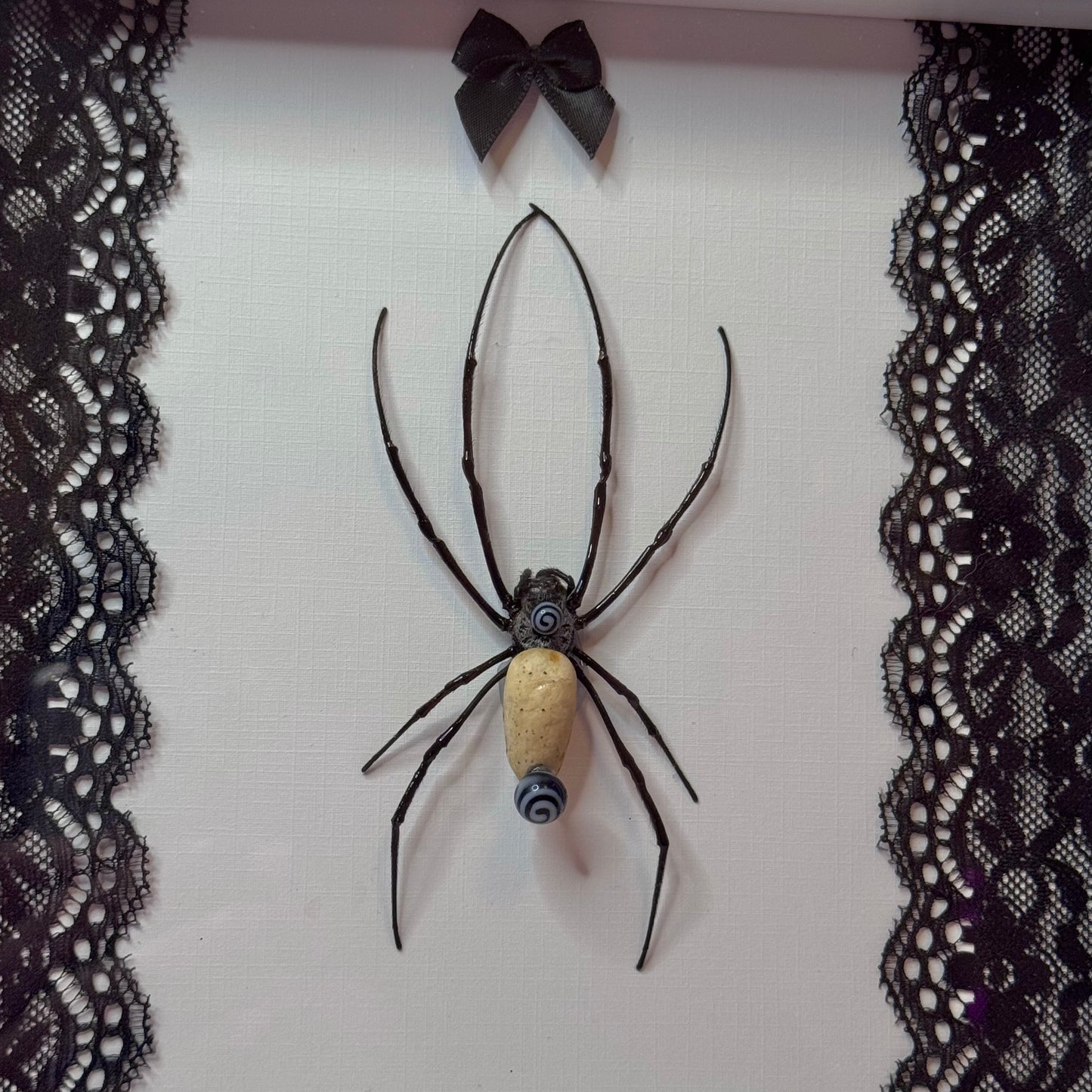 Pierced Orb Weaver Black & White