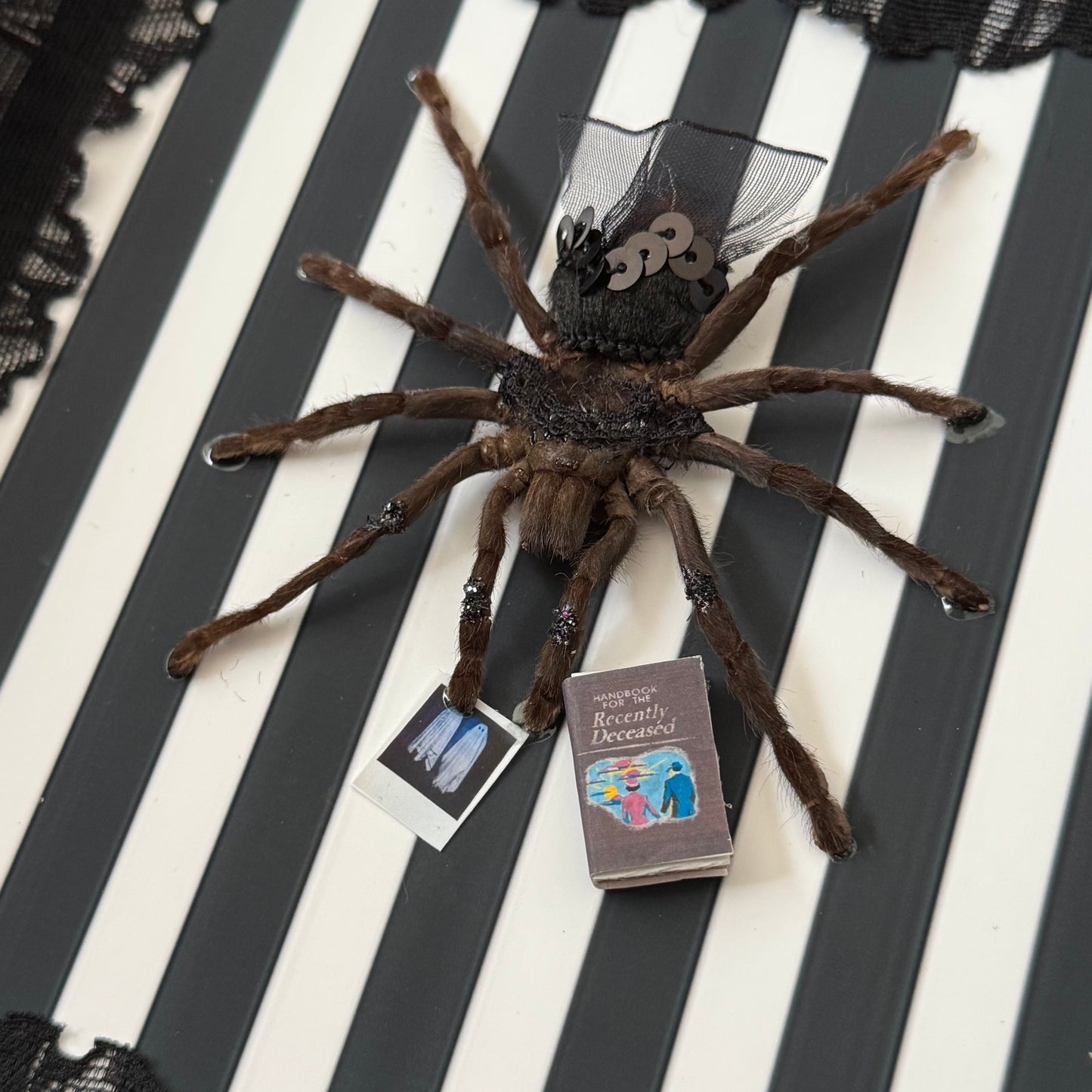 Lydia Tarantula