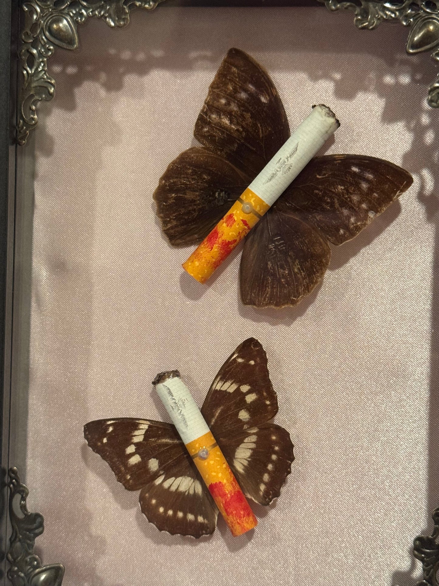 Lipstick Ciggie Butterflies - Black Frame