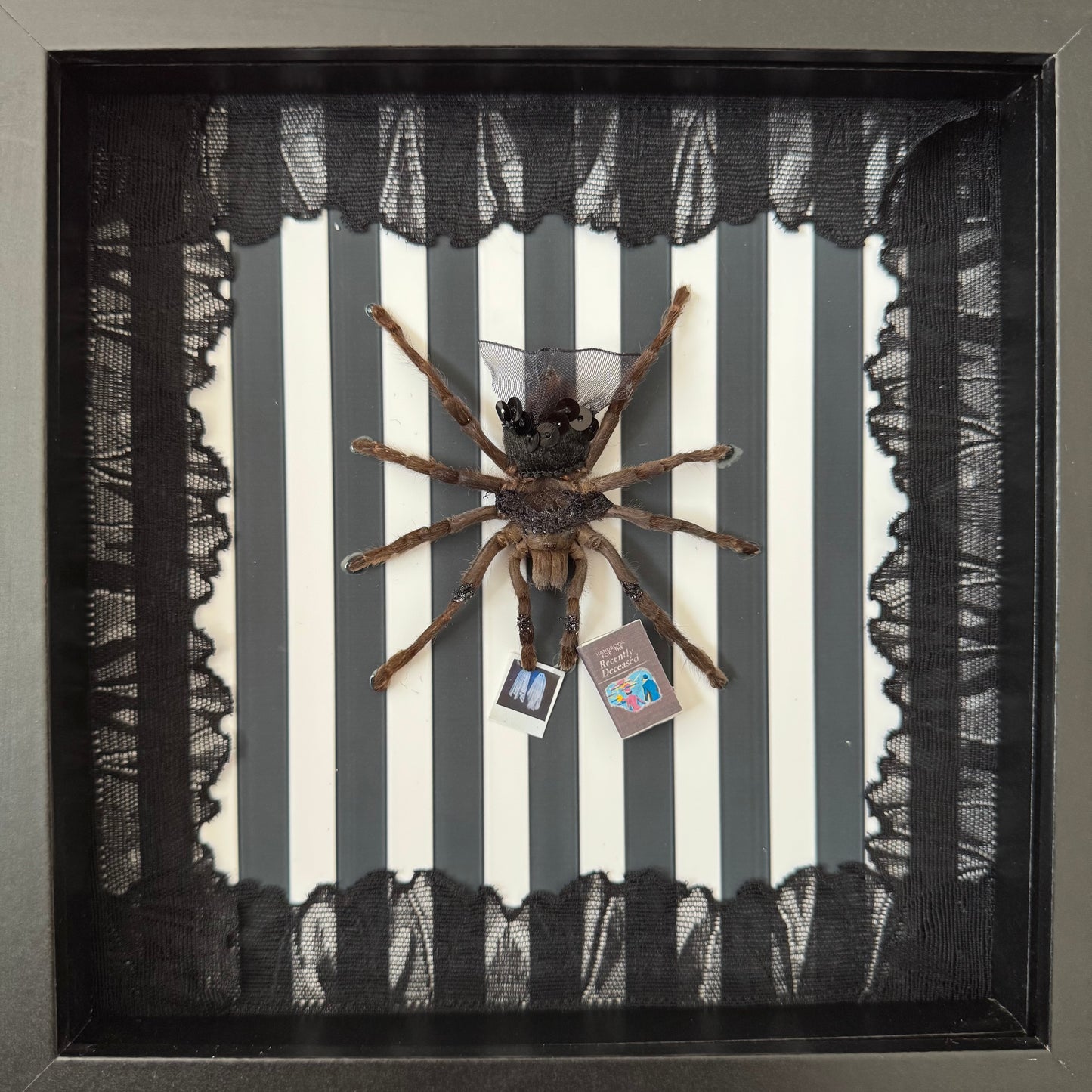 Lydia Tarantula