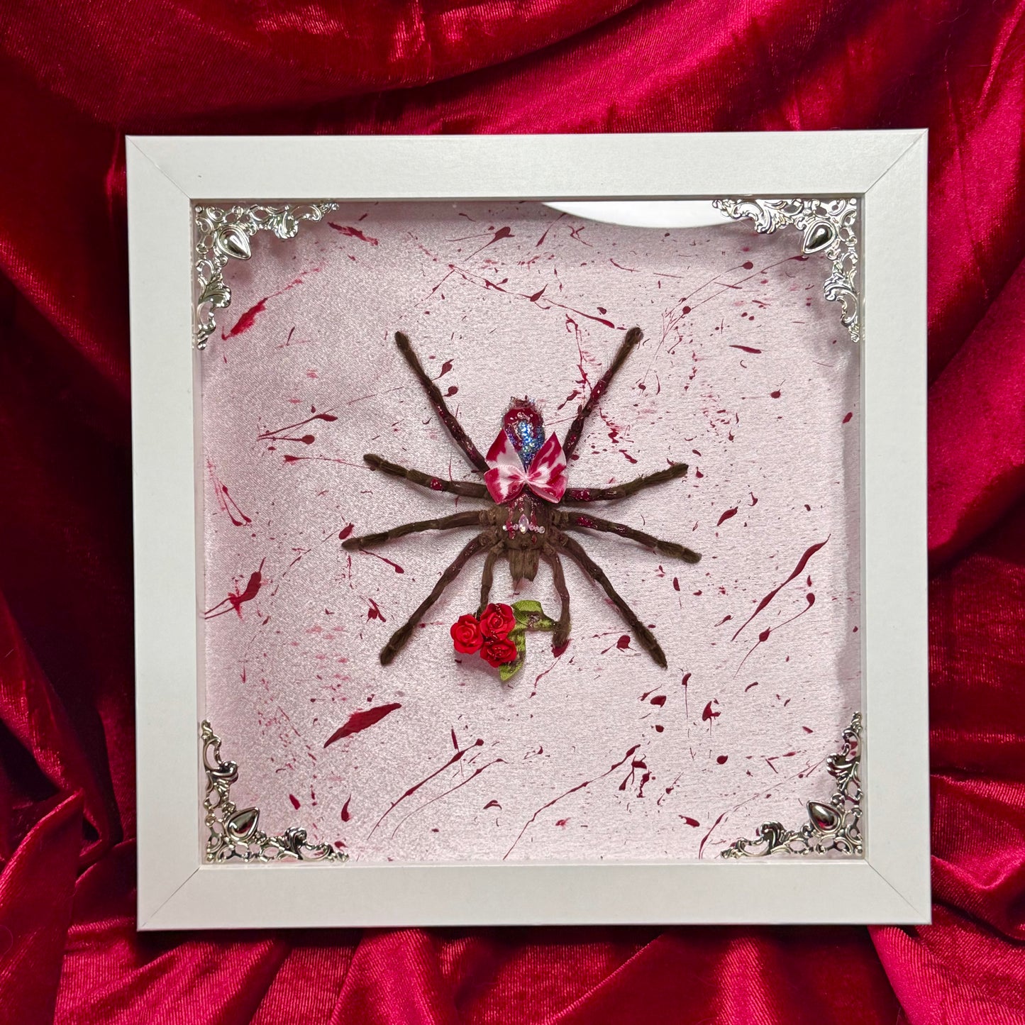 Carrie Tarantula