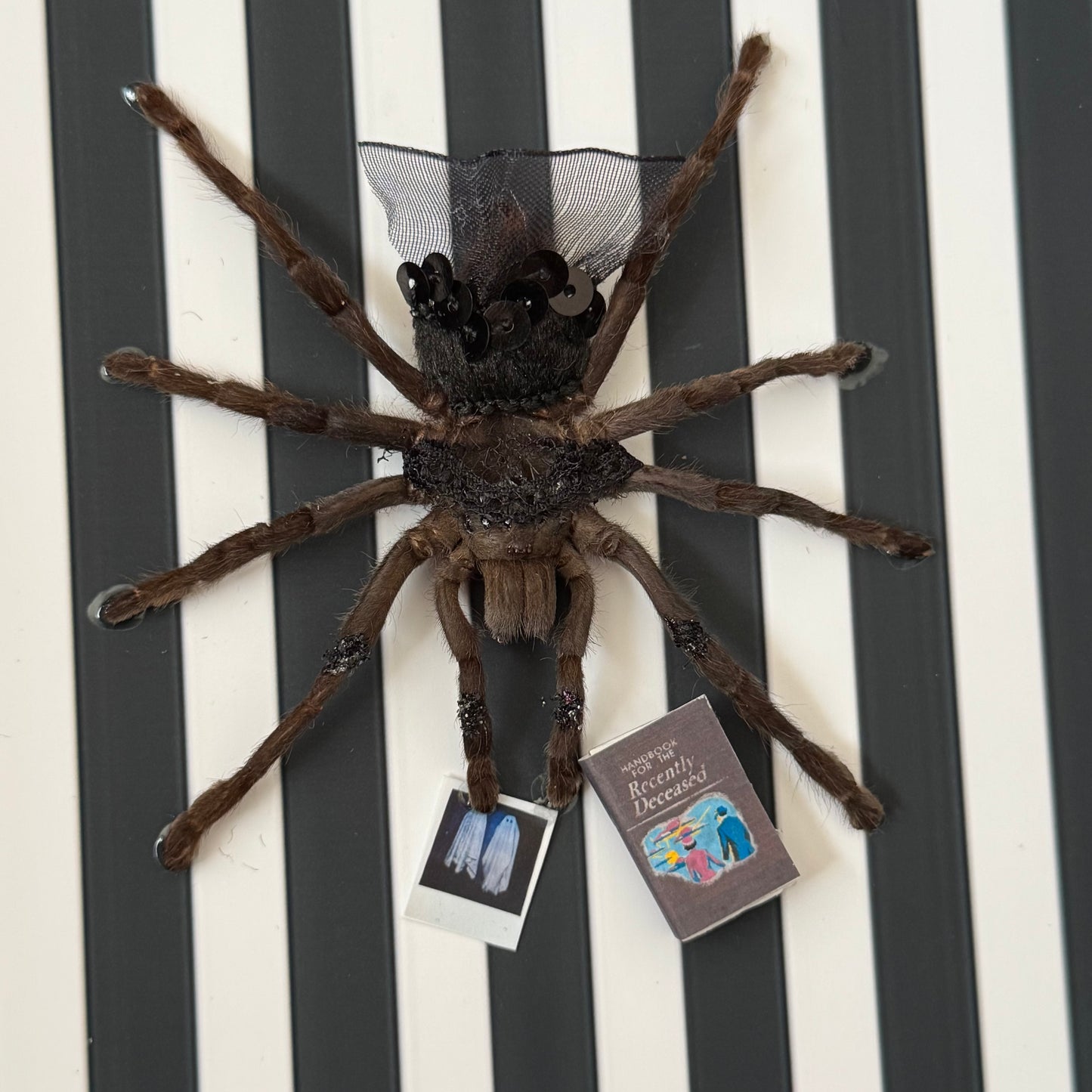 Lydia Tarantula