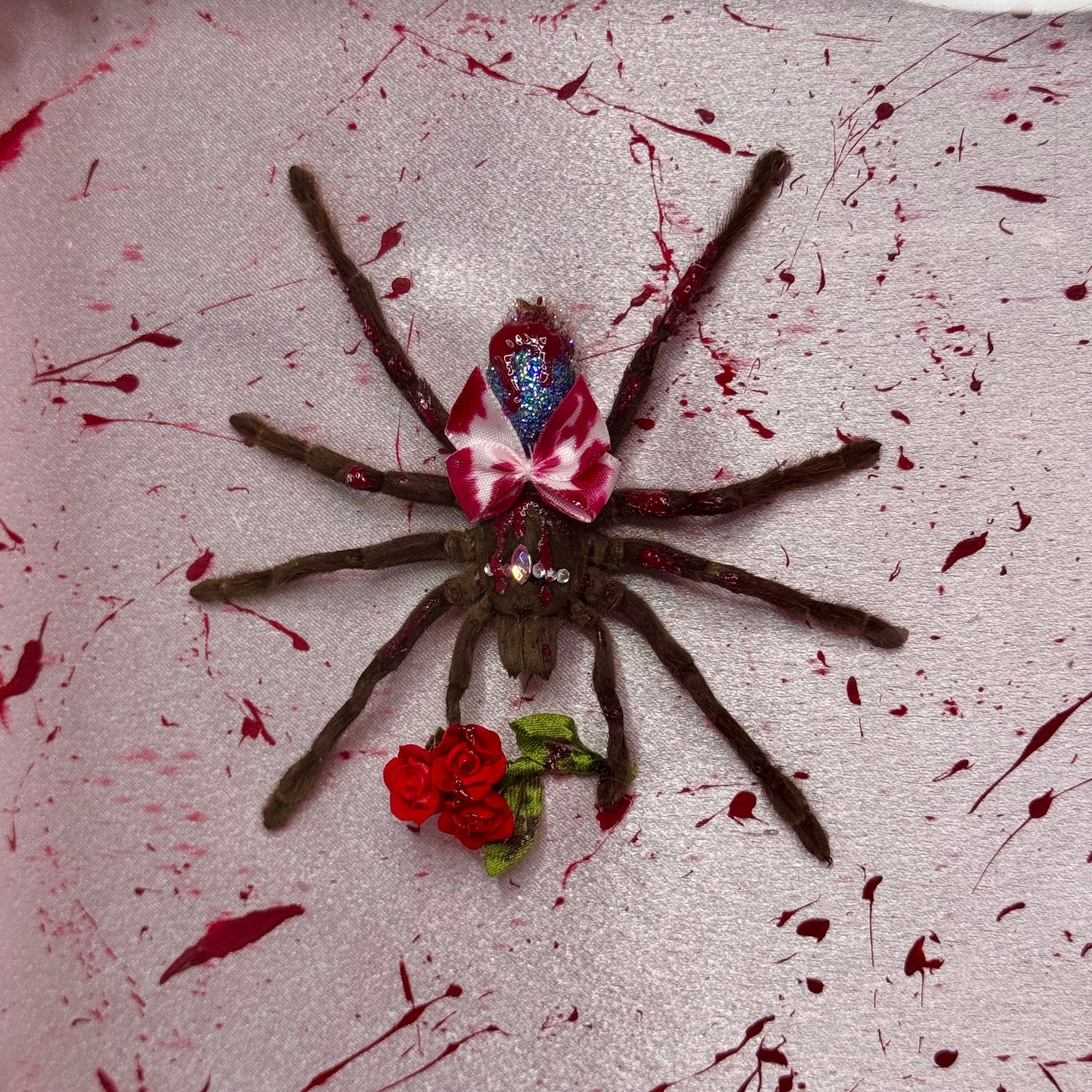 Carrie Tarantula
