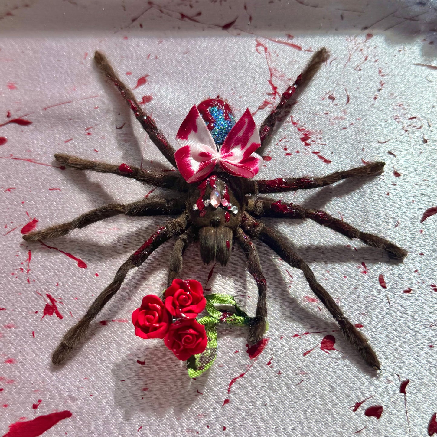 Carrie Tarantula