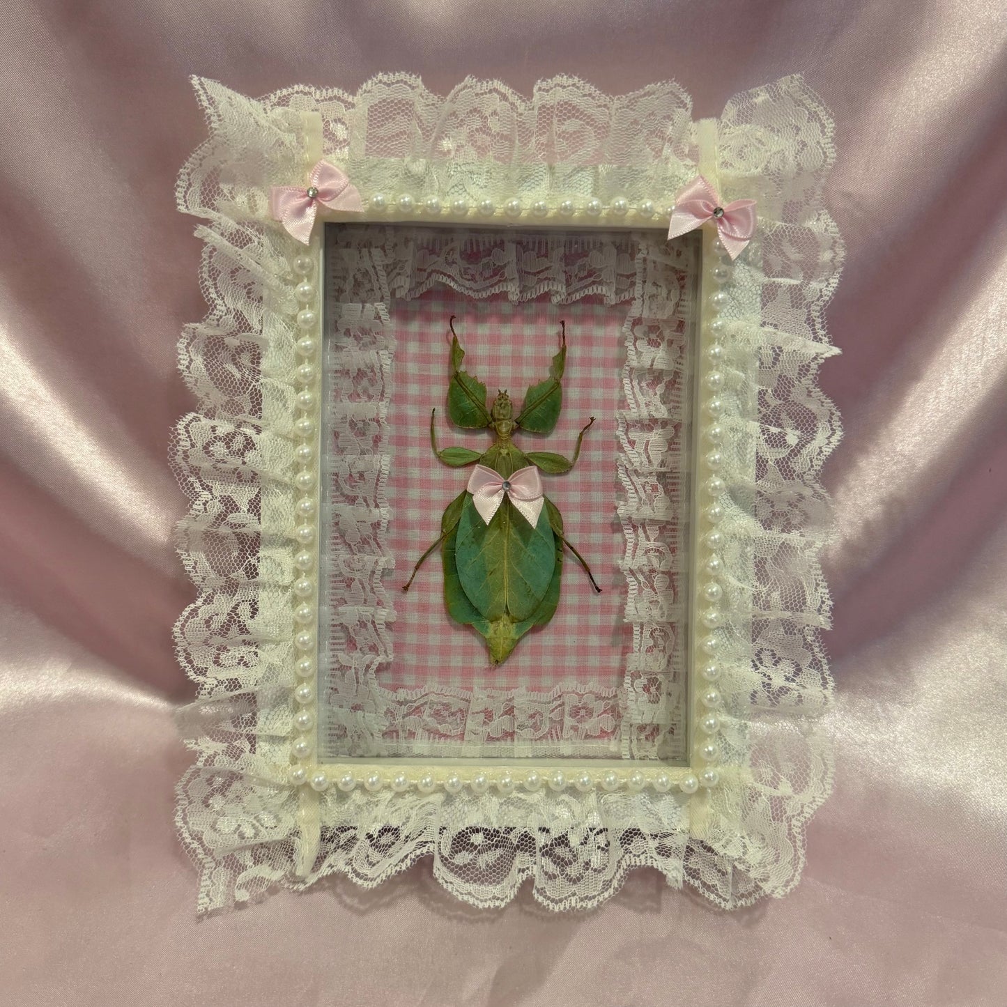 Green Leaf Insect on Pink Gingham With Lace