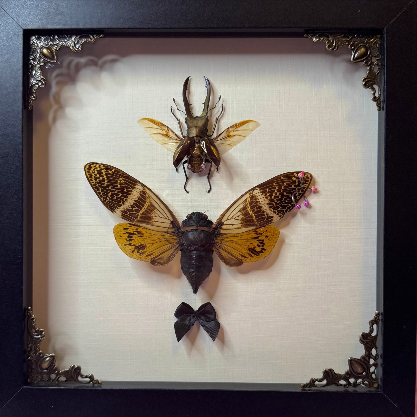Beetle & Cicada Pierced Duo