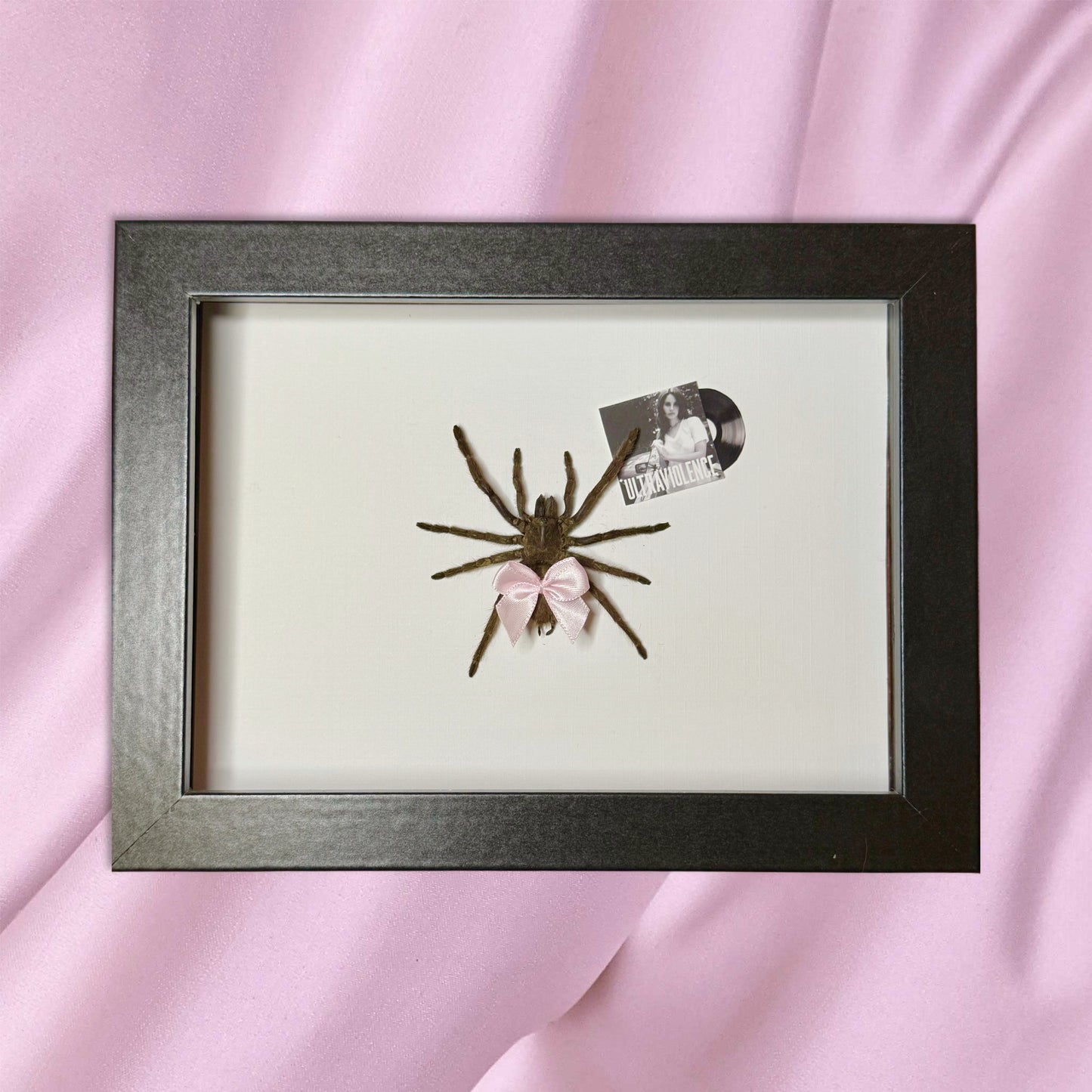 CUSTOMIZABLE Tarantula With Your Fav Album π