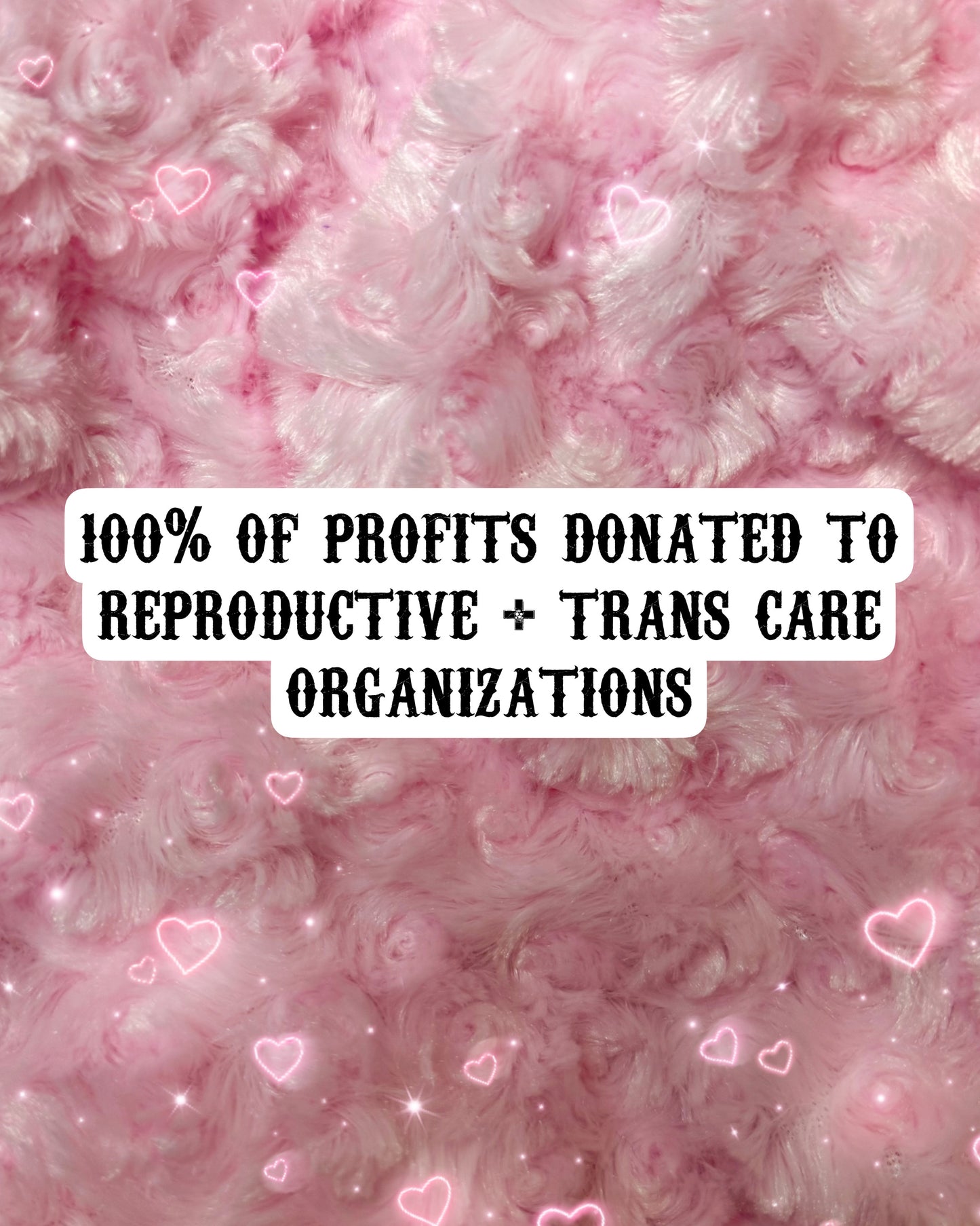 Protect Trans Lives Tarantulas Sticker