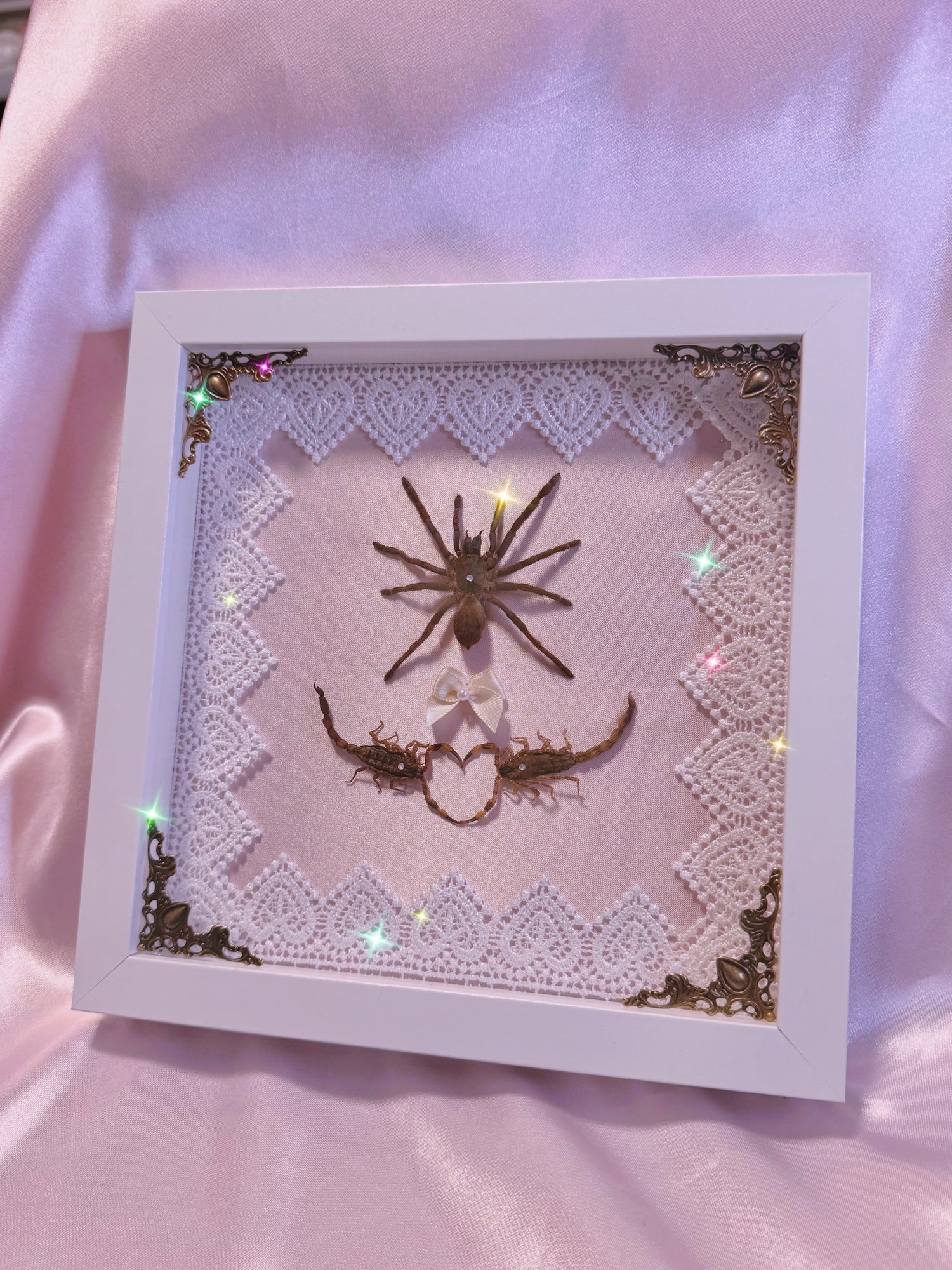 VALENTINE COLLECTION