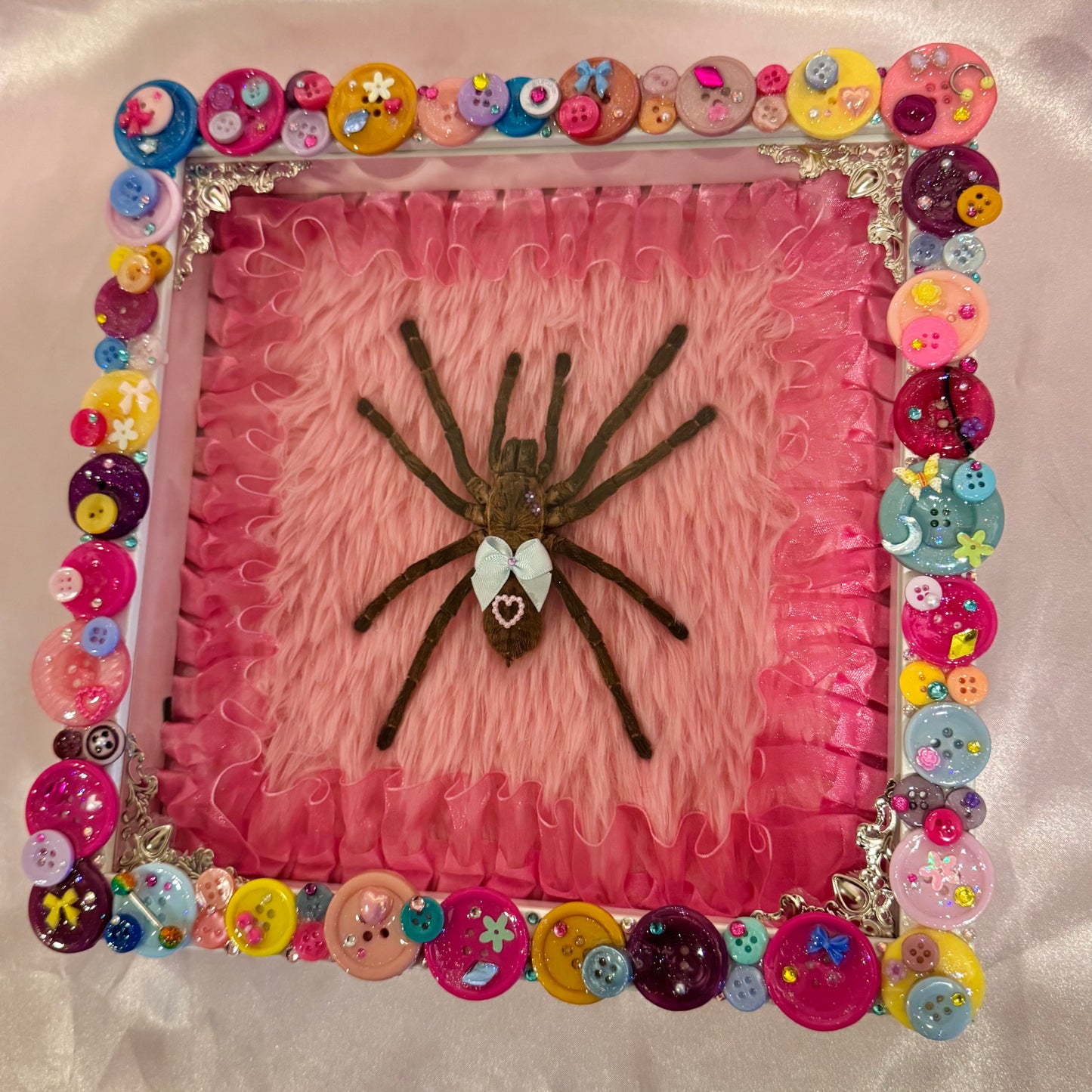 Tarantula on Fur Button Baby