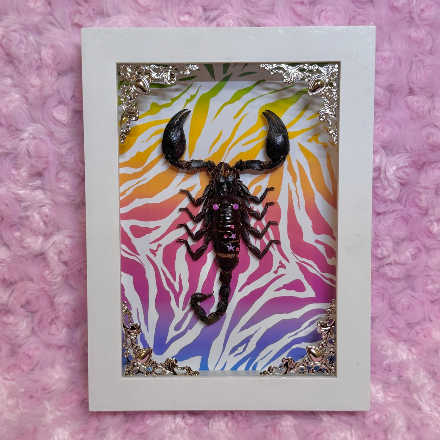 Scorpion On Lisa Frank Inspired Zebra Print