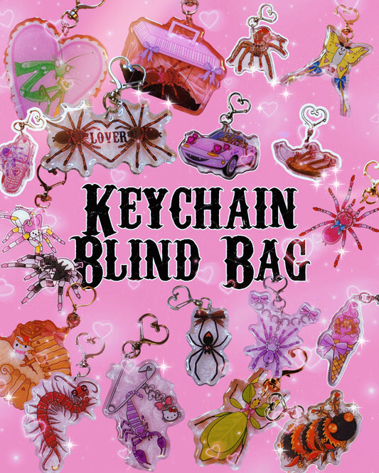 Keychain Blind Bag