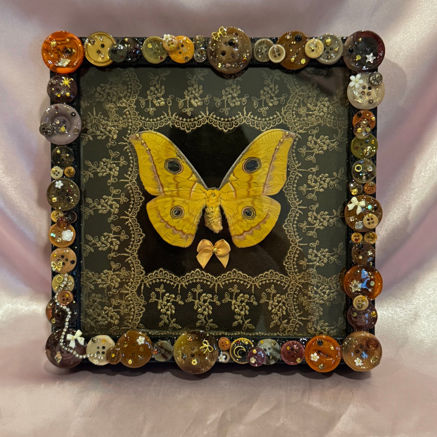 Japanese Silk Moth Button Baby