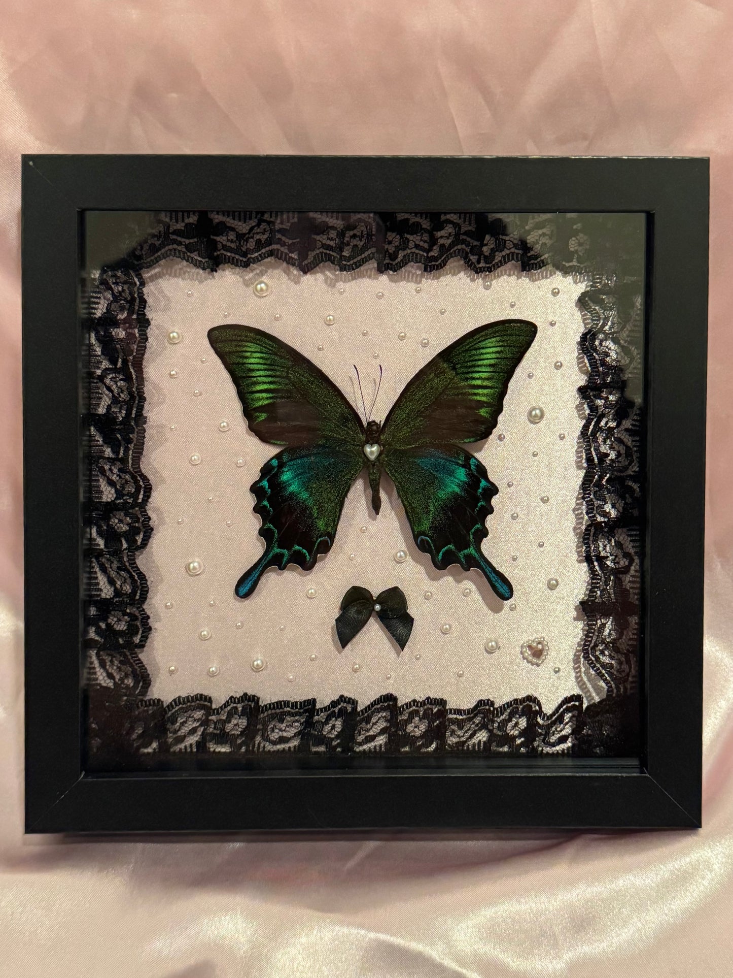 Alpine Black Swallowtail On Pearly Pink