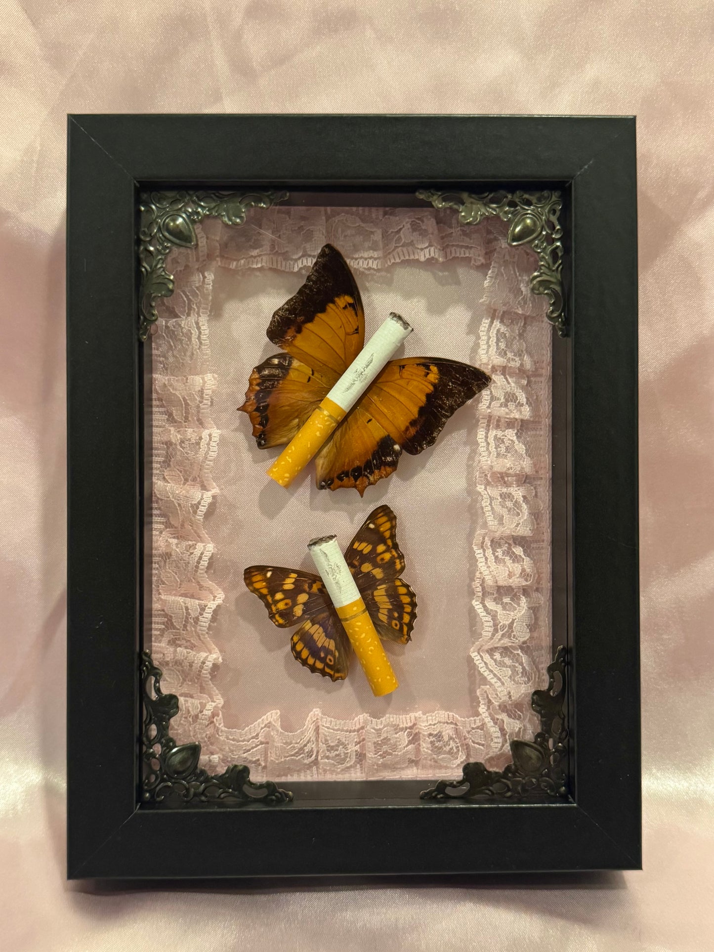 Ciggie Butterflies - Pink With Lace