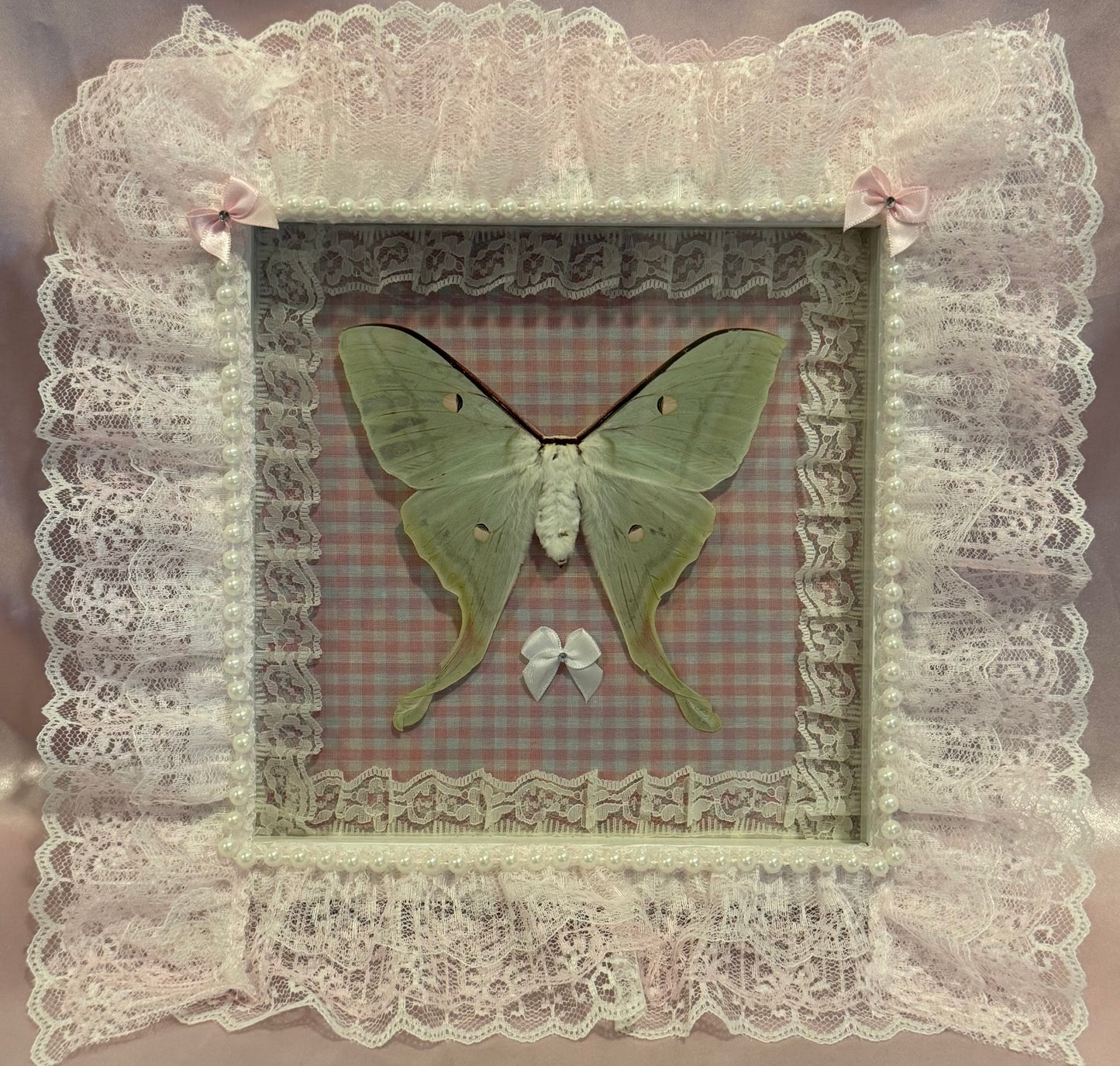 Luna Moth on Pink Gingham