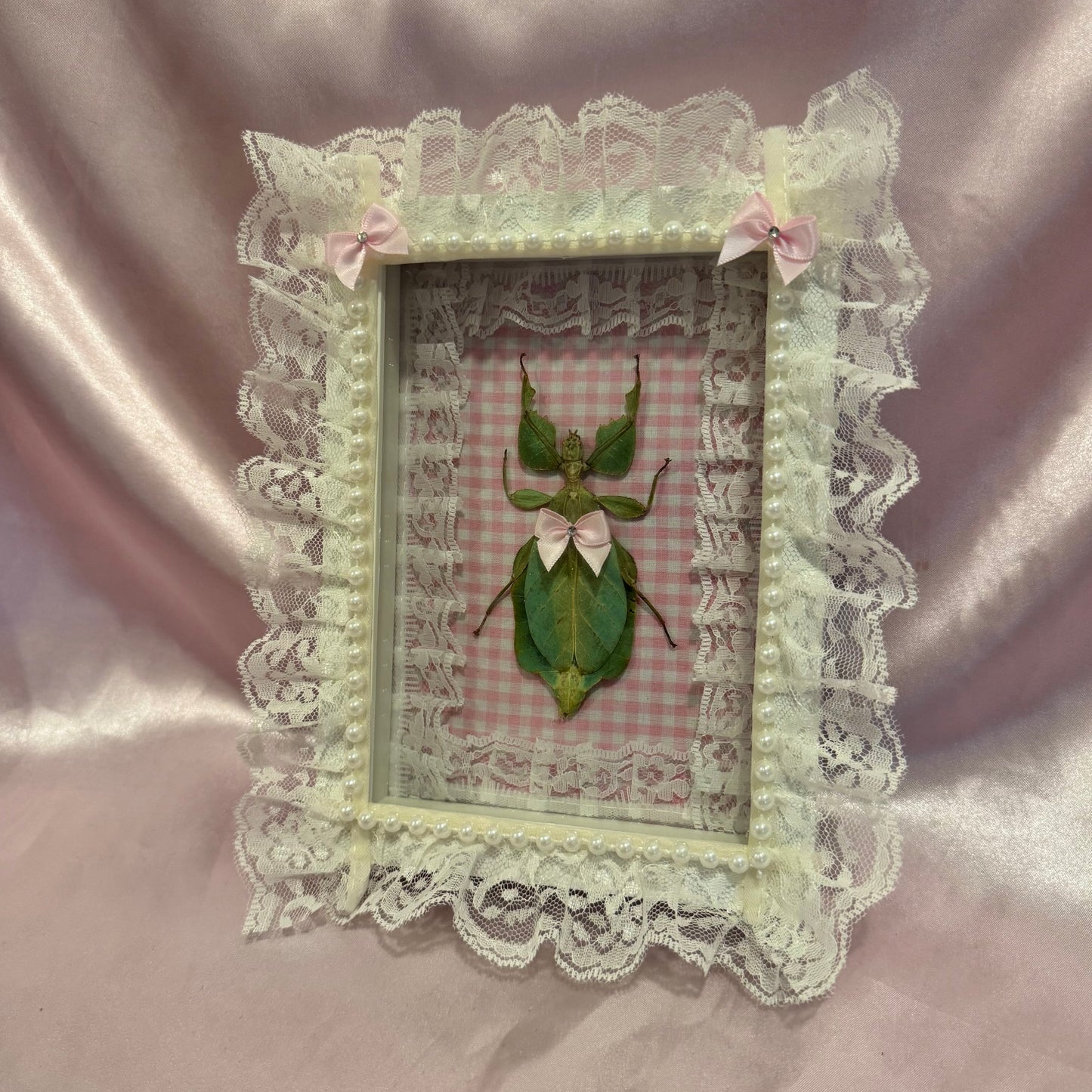 Green Leaf Insect on Pink Gingham With Lace