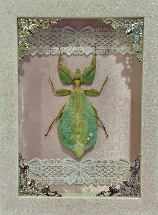 Sparkle Green Leaf Insect on Pink Silk - Sparkle Frame