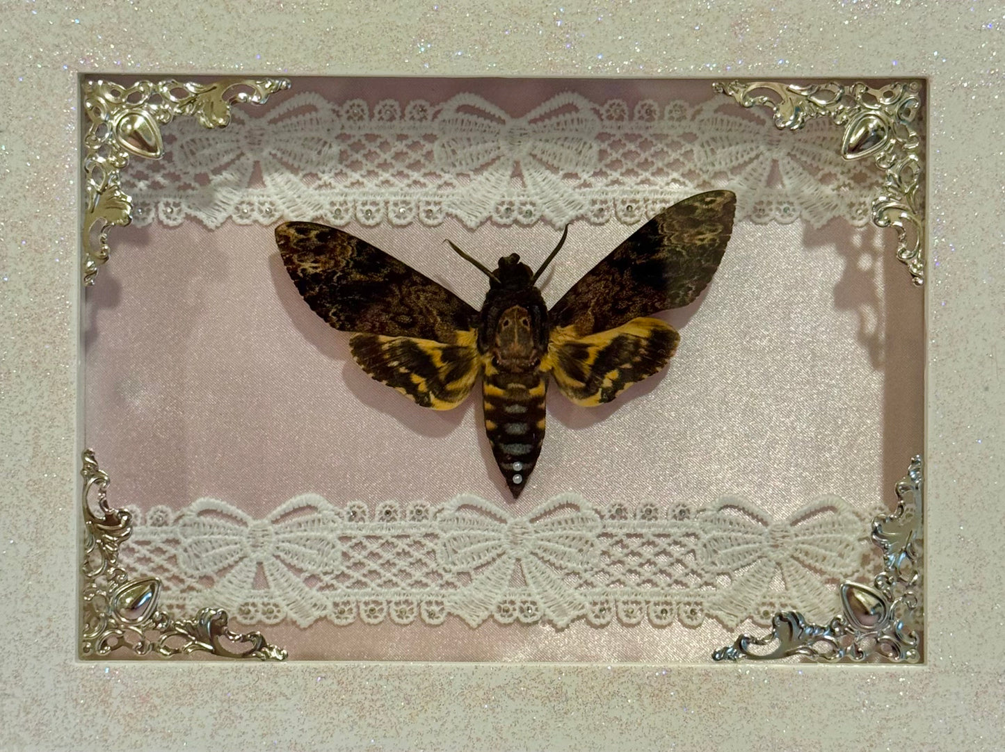Death Moth on Pink Silk - Sparkle Frame