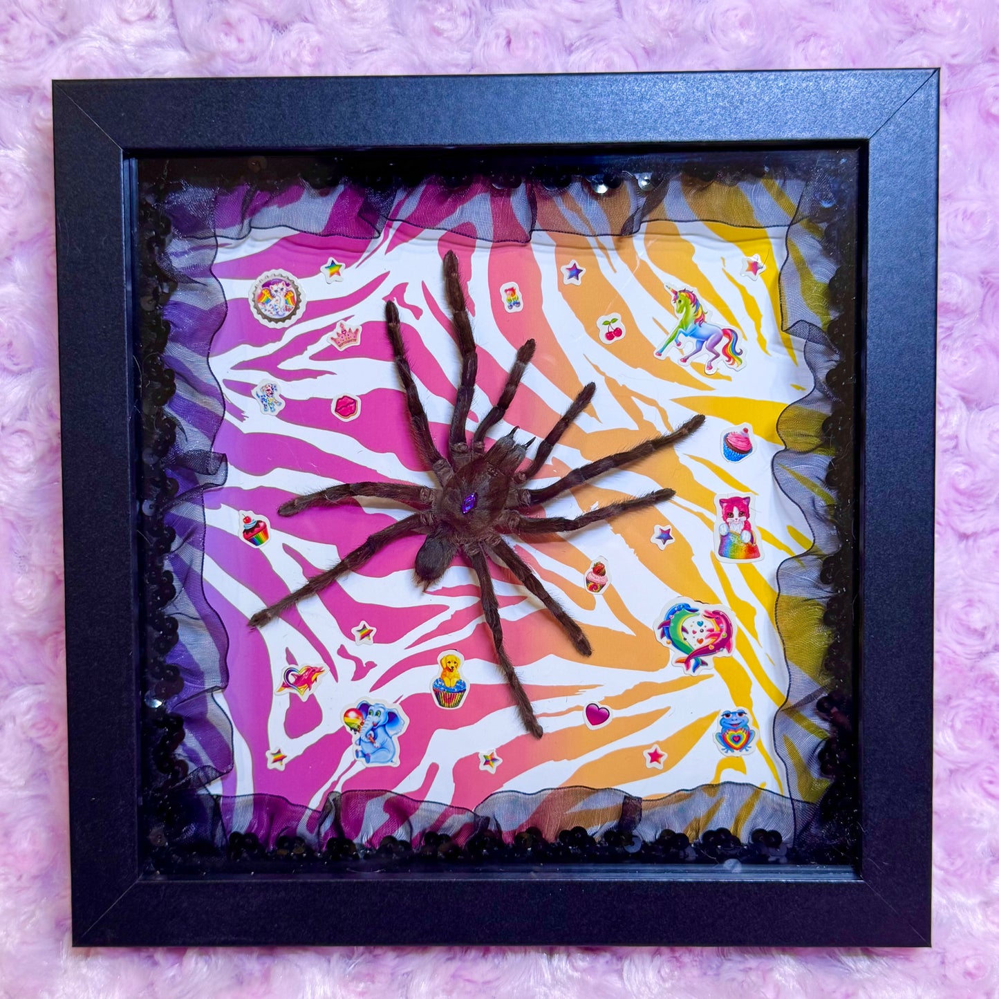Tarantula on Lisa Frank Inspired Rainbow Zebra Print With Stickers