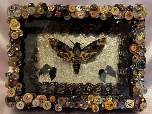 Death Moth Button Baby