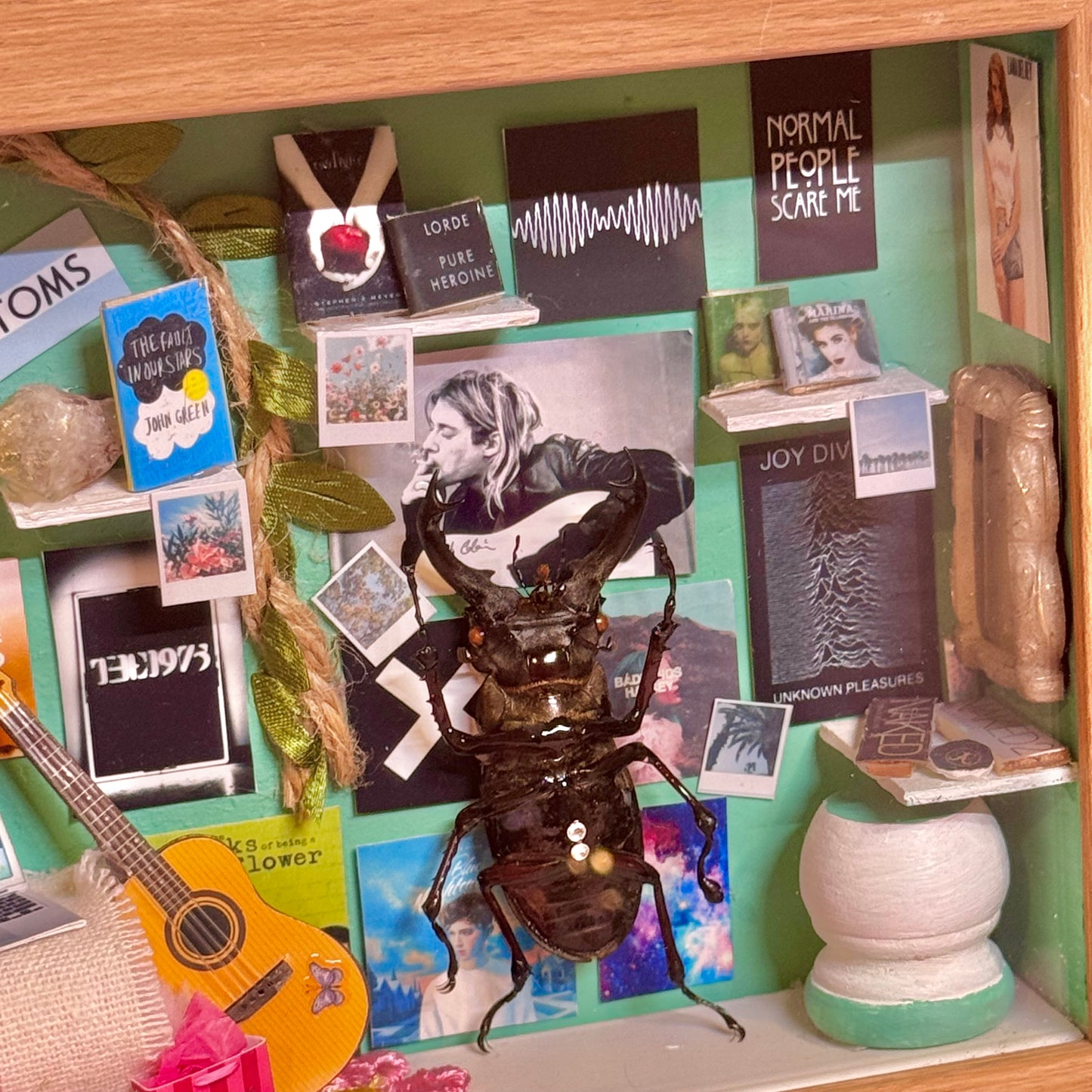 Tumblr Beetle Diorama