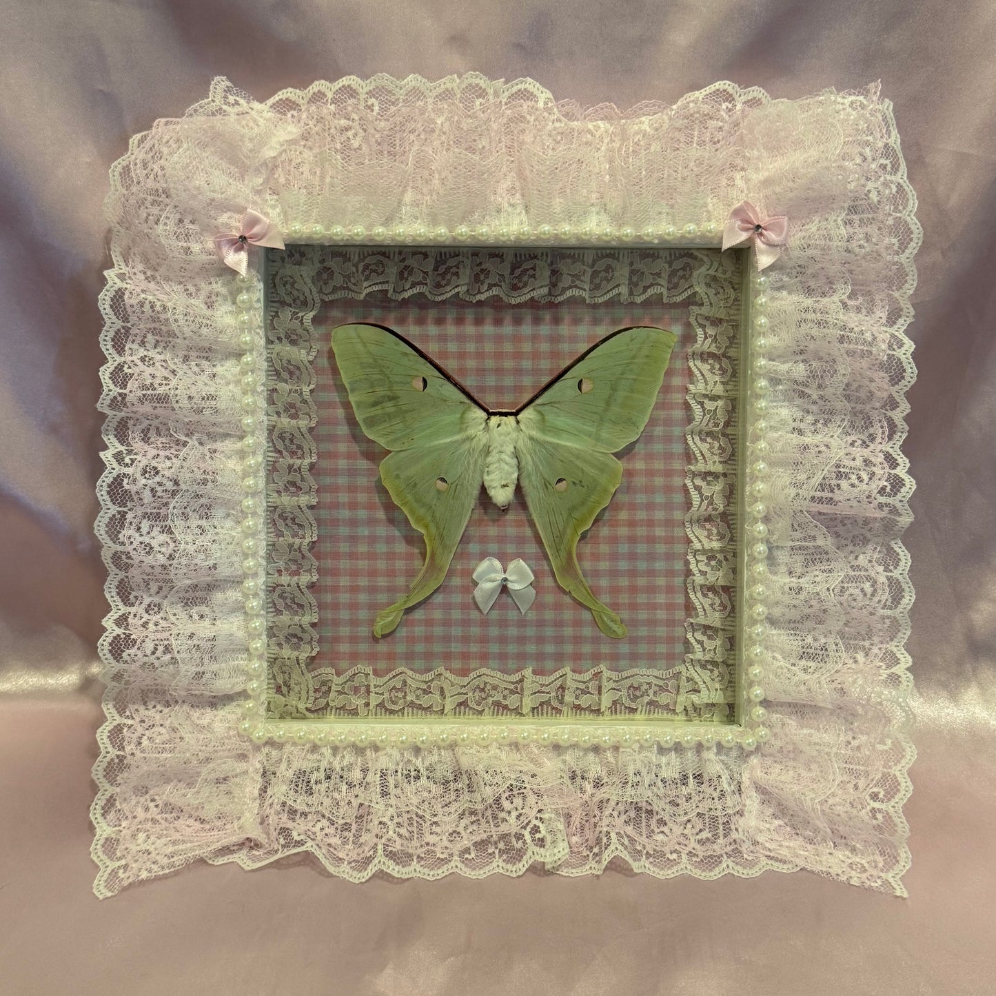 Luna Moth on Pink Gingham