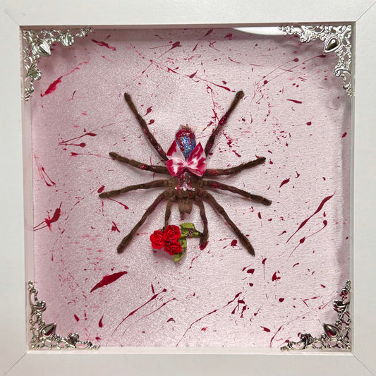 Carrie Tarantula