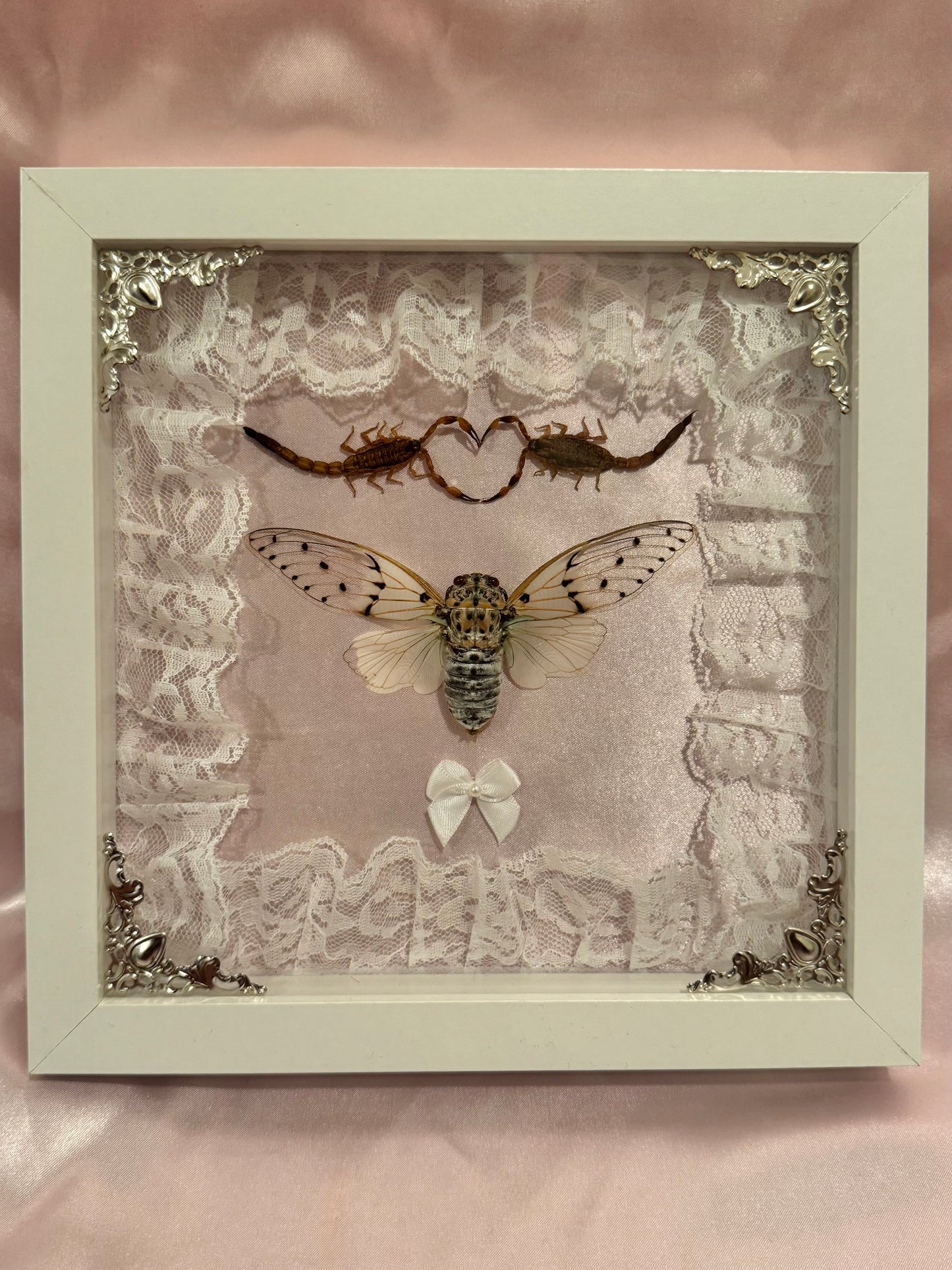 White Ghost Cicada & Scorpion Lovers