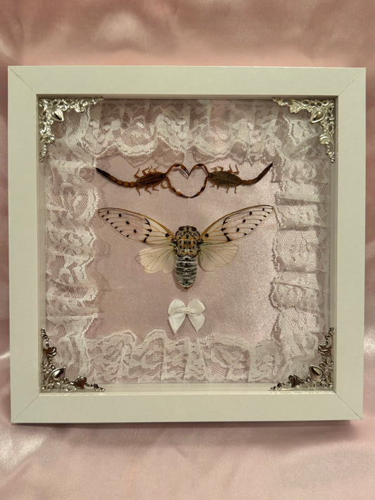 White Ghost Cicada & Scorpion Lovers