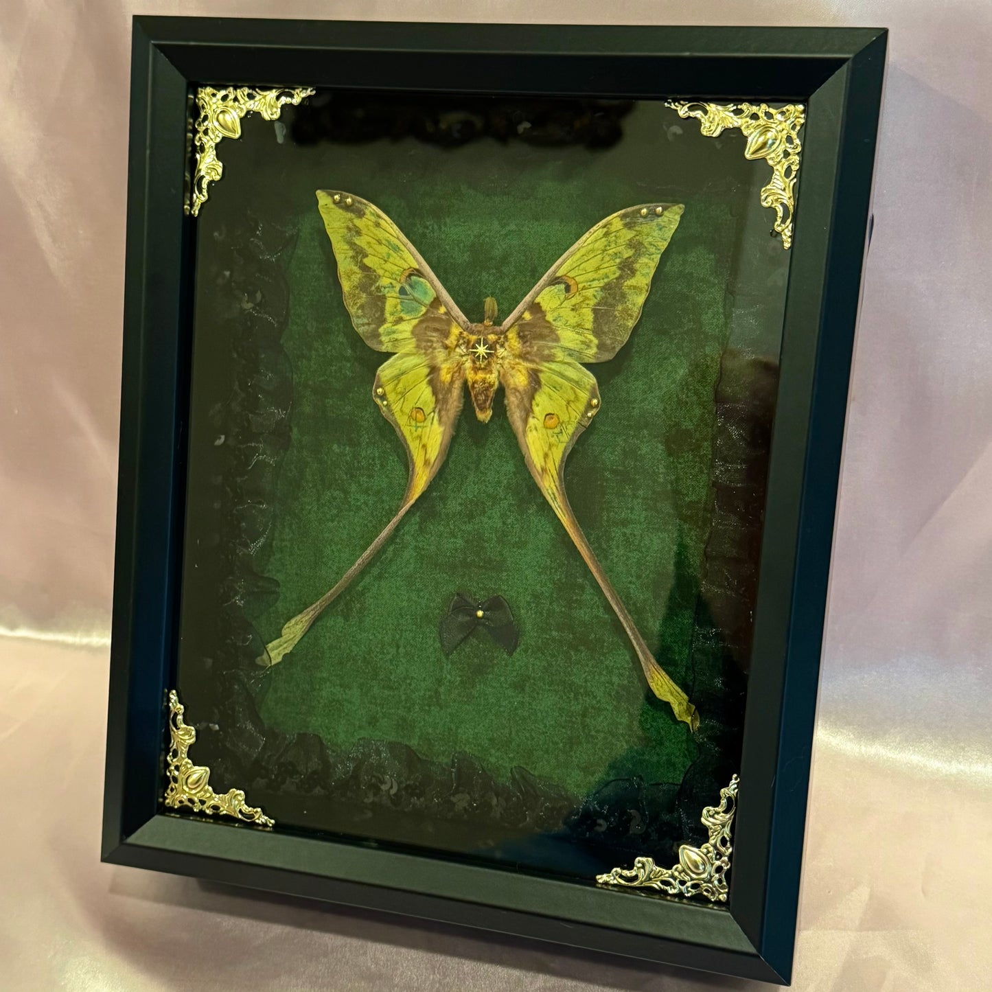 Comet Moth on Green - Black Frame