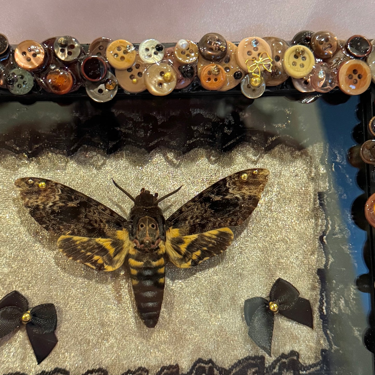 Death Moth Button Baby