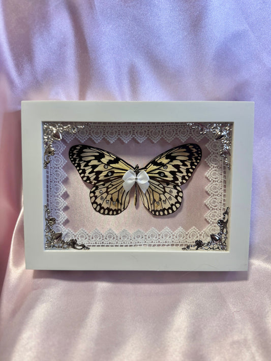 Paper Kite Butterfly