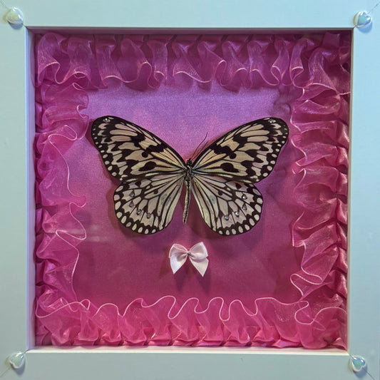 Paper Kite Butterfly On Pink