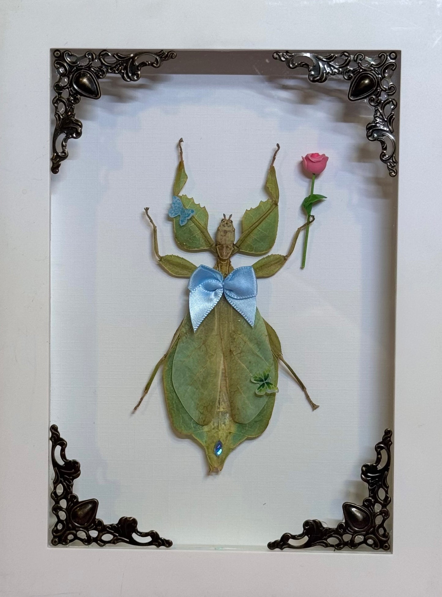 Green Leaf Insect In The Garden