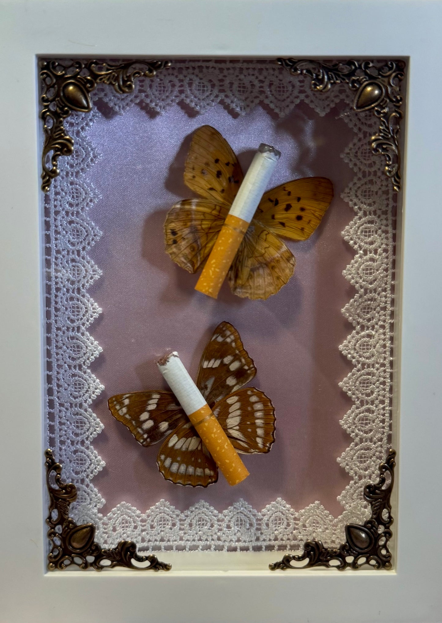 Butterfly Ciggies on Pink