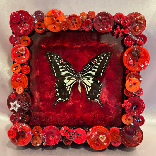 Asian Swallowtail Button Baby