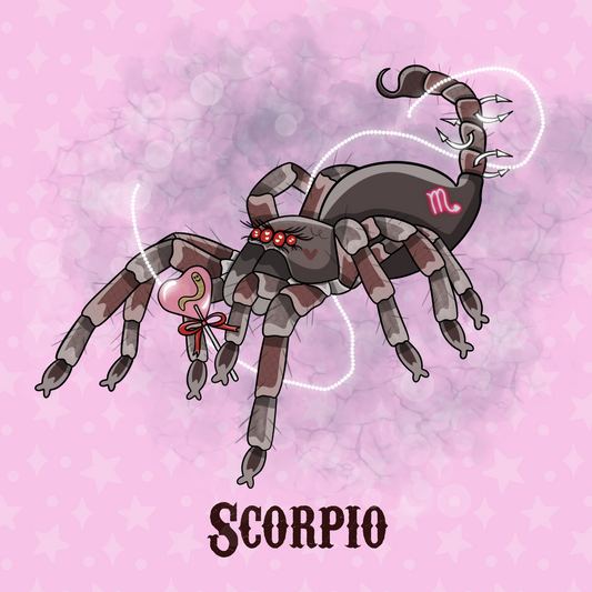 SCORPIO Zodiac Tarantula Print